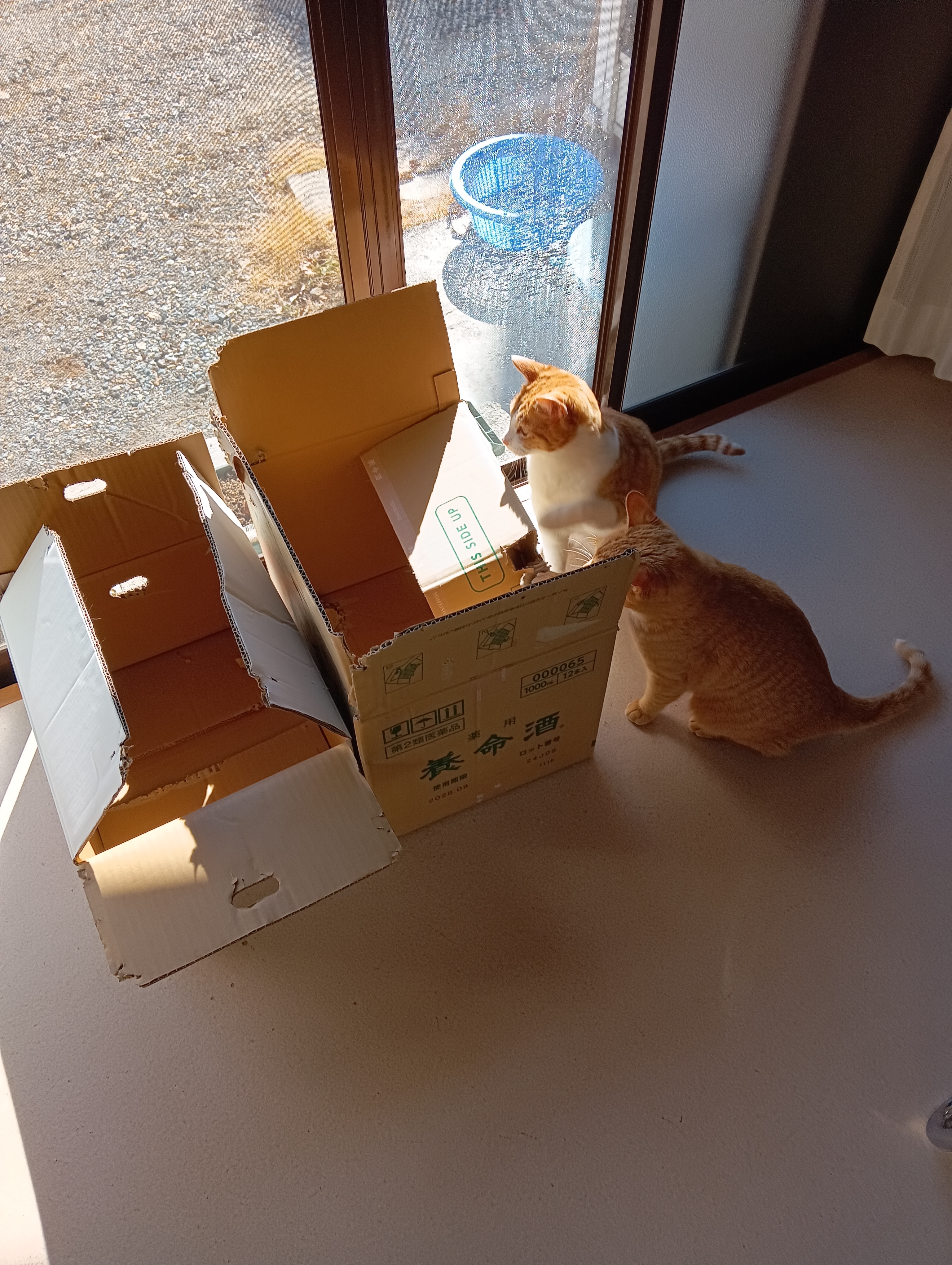 　　　　　　　　　　　　　　　　　　　　　　　　　（住宅展示場に若夫婦がやってきました）この大きなお家はどうかしら　　うん！