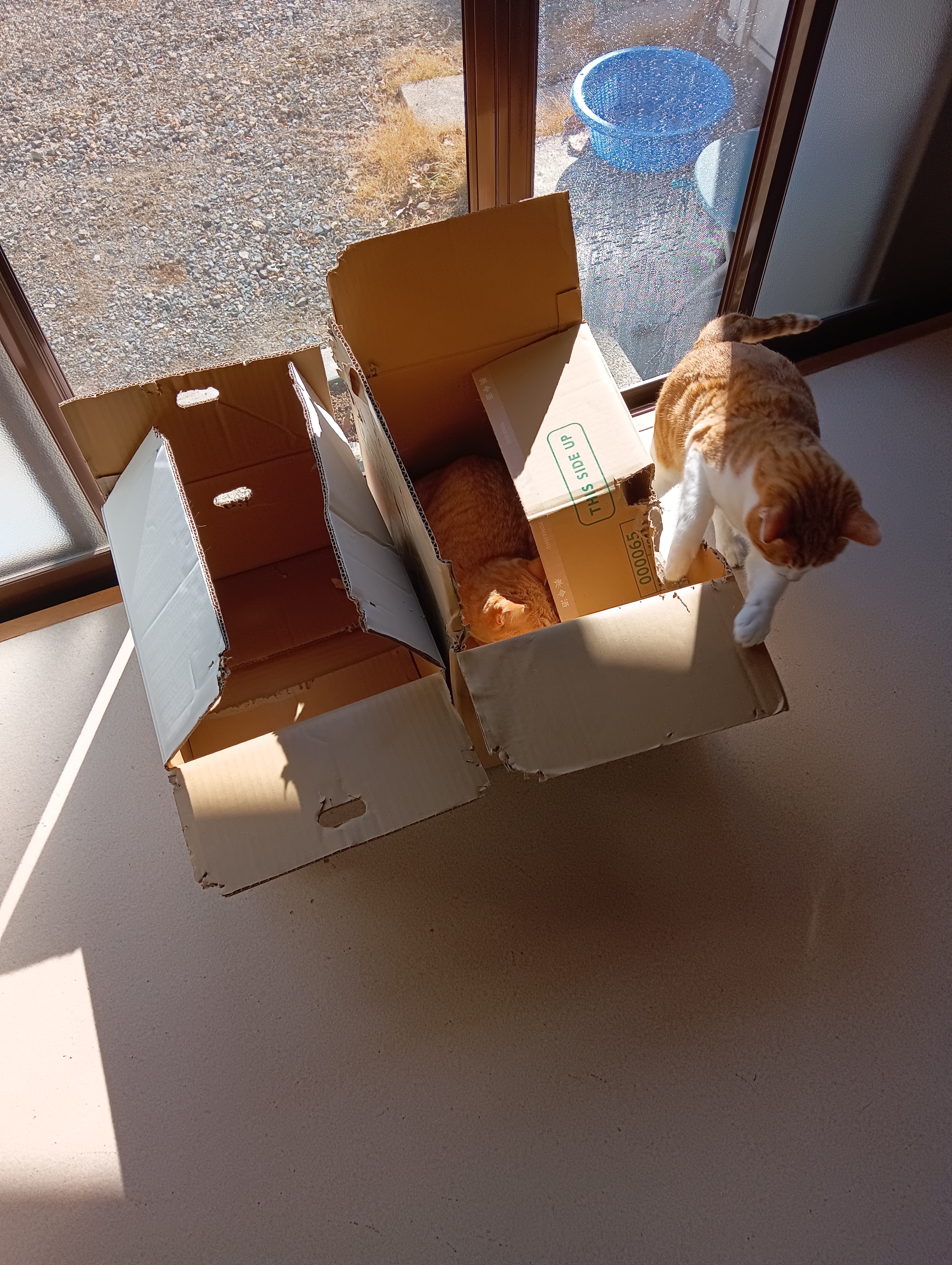 　　　　　　　　　　　　　　　　　　　　　この家はあまり建付けがよくないよ　　　　あらそう、お隣はどうかしら