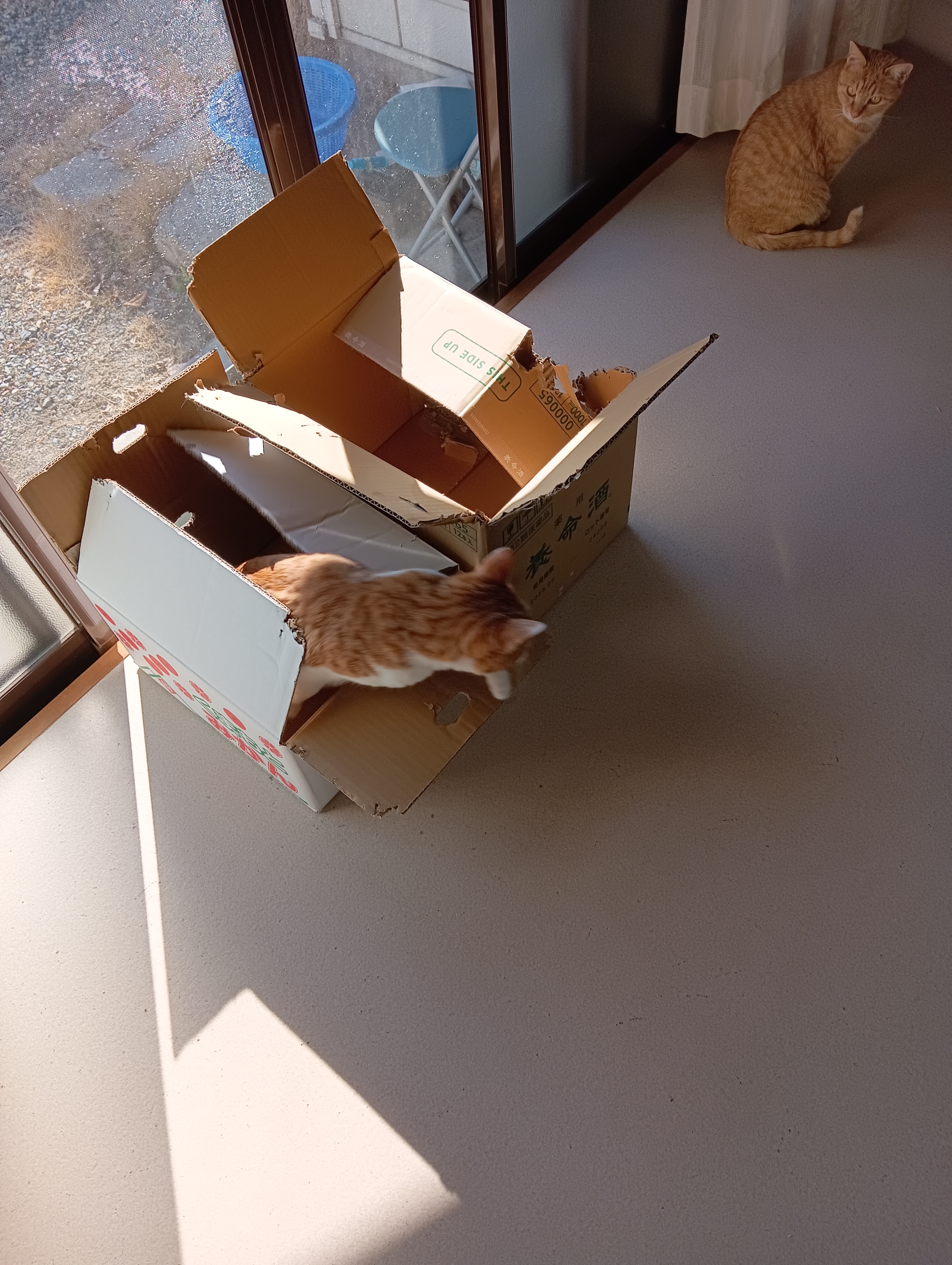 　　　　　　　　　　　　　　　　　　　　　　　　　気分悪！もう見学はやめたわ！　　え、そんな・・・・・
