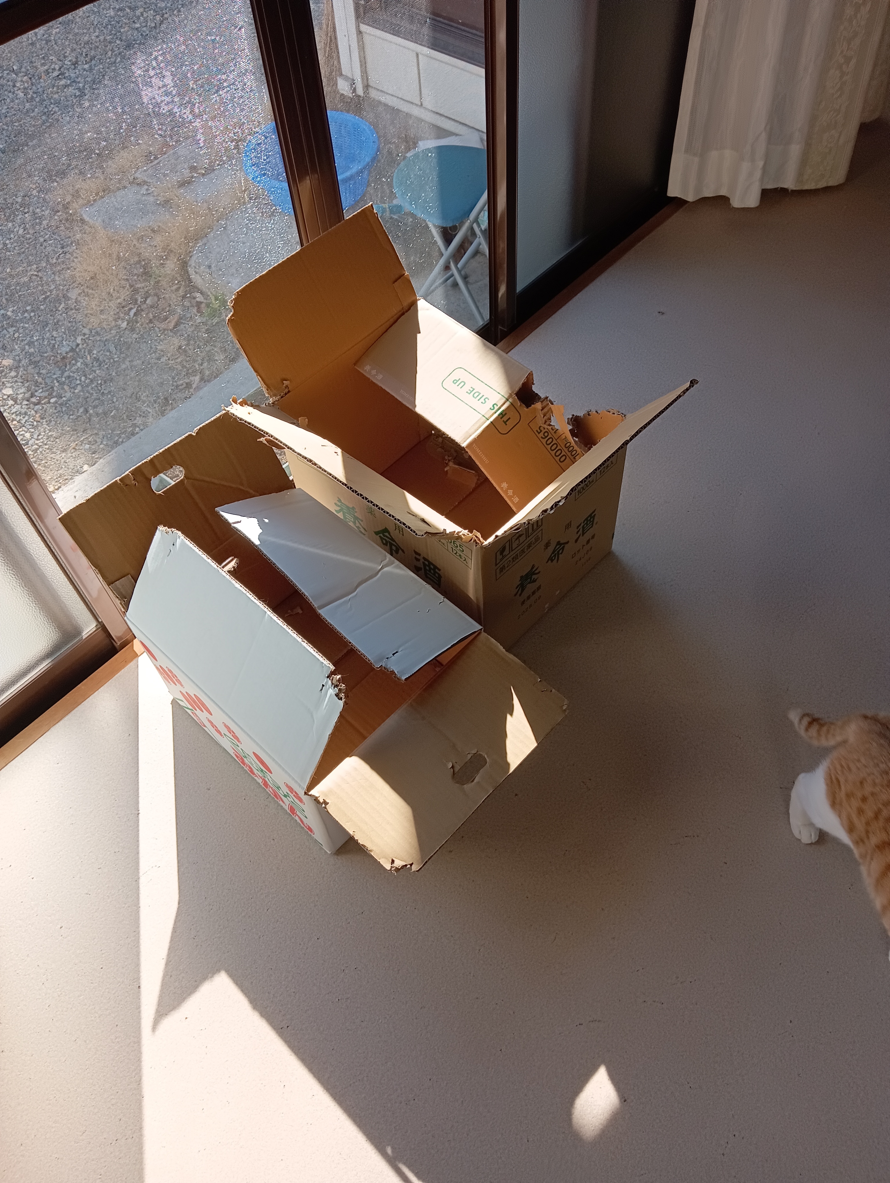 　　　　　　　　　　　　　　　　　　　　　　　　　　　　　　　　　　　　　しゃーない、ぼくも帰ろ