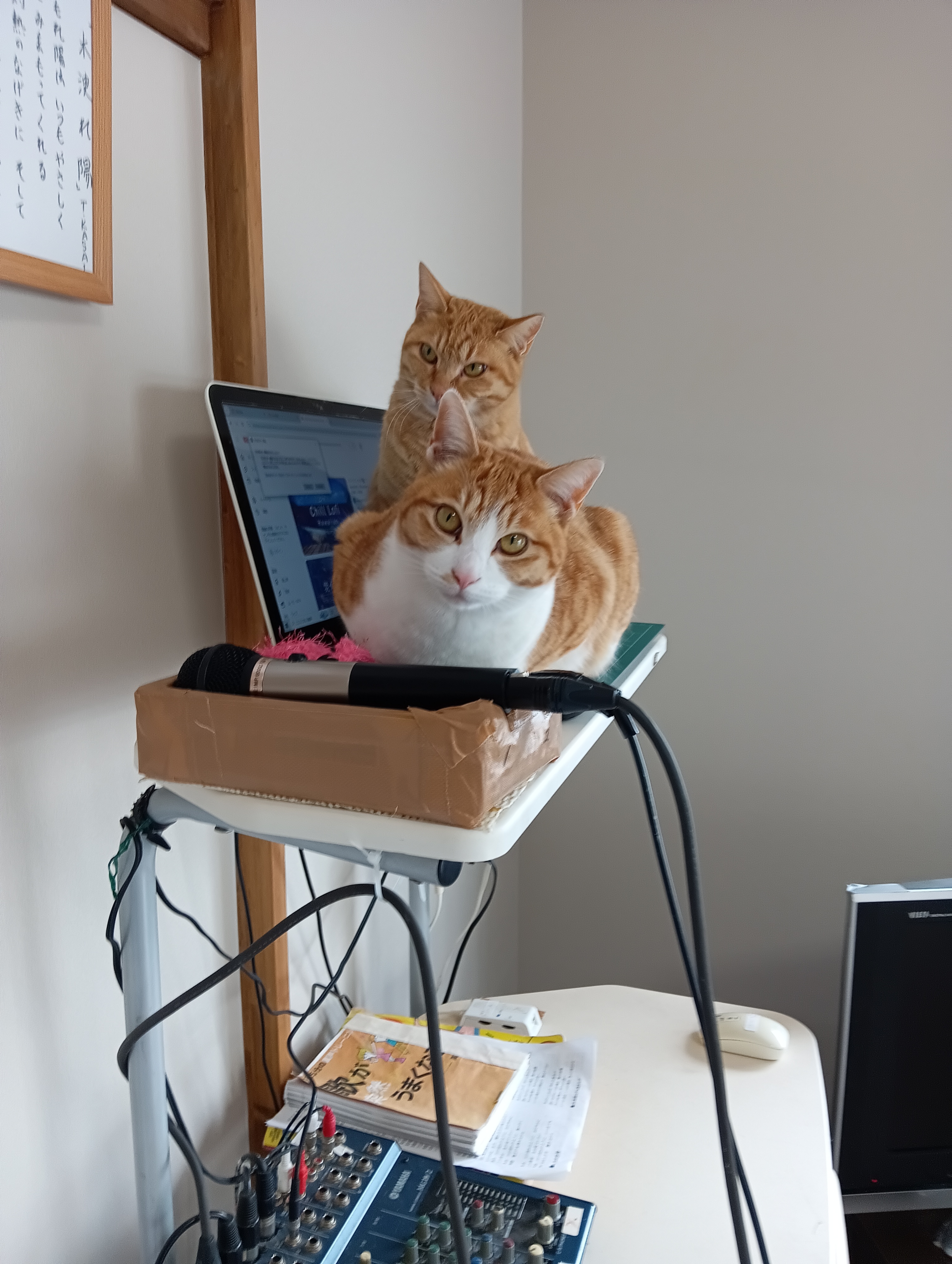 （そこからおりてー！キーボードがこわれちゃうよー）　　ぼくたちパソコンの番人なのにゃ