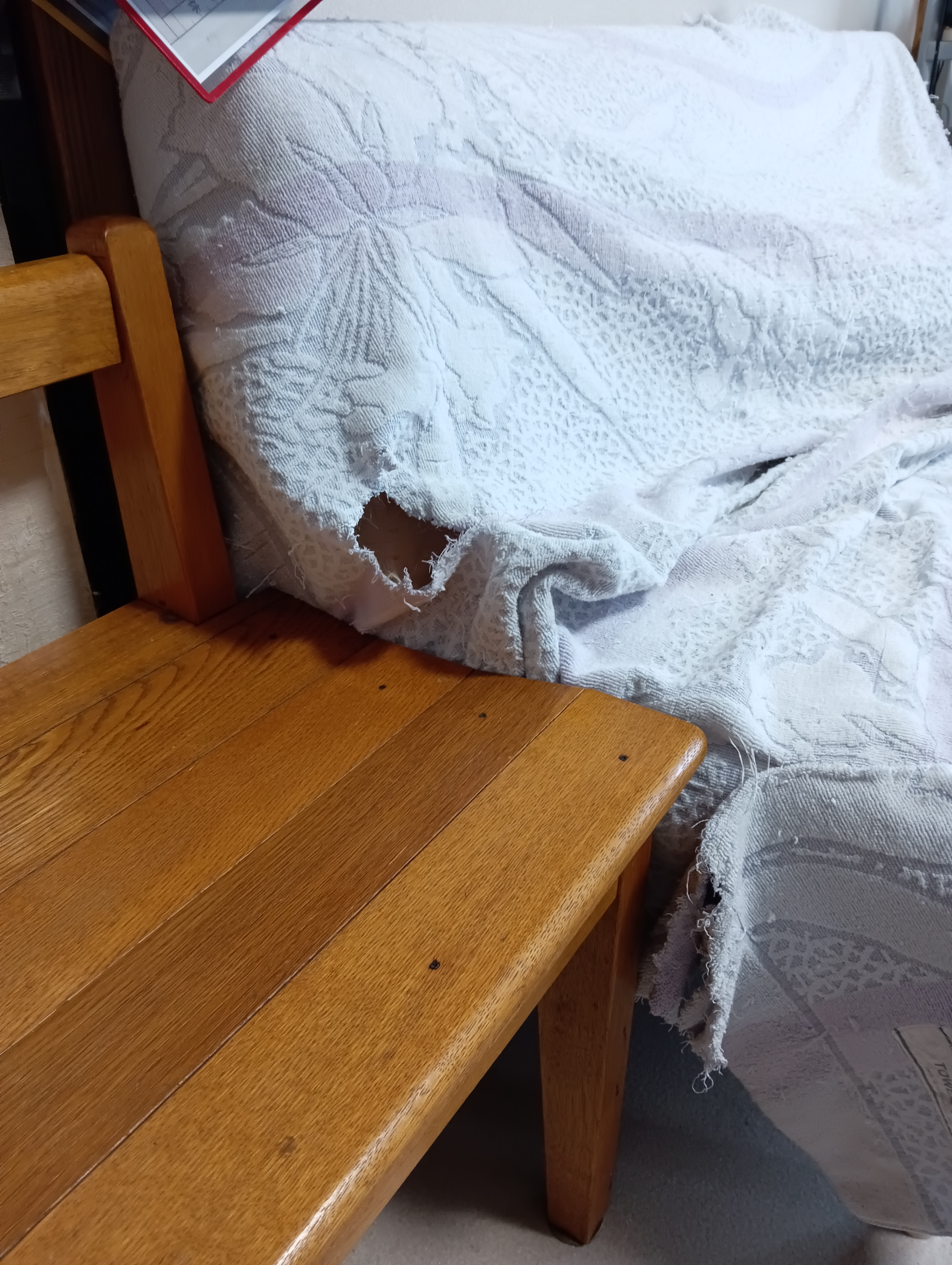 　　　　　　　　　　　　　Mさん、ごめんなさい、にゃんこたちがかじって穴をあけてしまいました・・・・