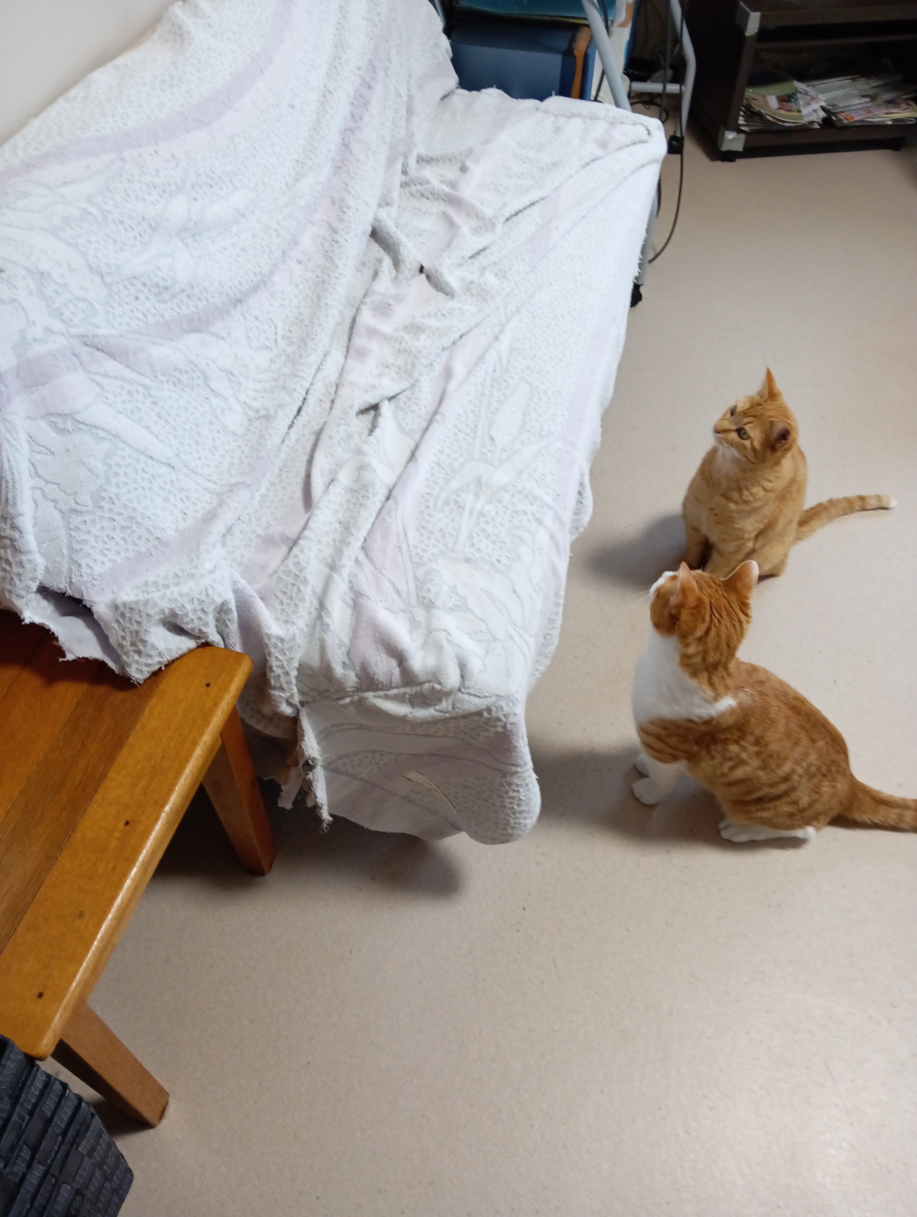 　　　　　　　　　　　　　　　　　　　　　　それはそうと、このどこかに裏金が隠してあるっていううわさよ