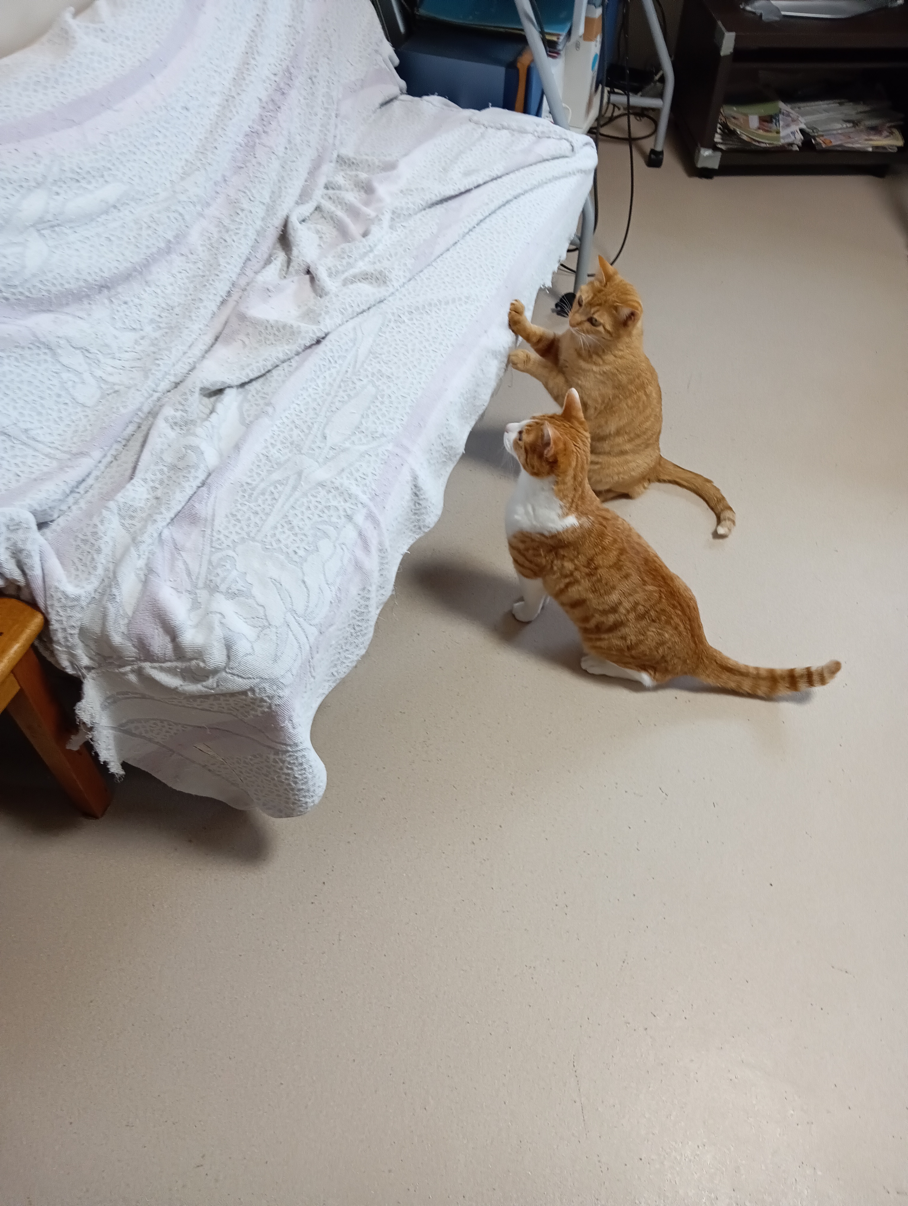 　　　　　　　　　　　　　　　　　　　　　　　　　　　　　　　　　　　　　え！ほんと！　　ほんとよ
