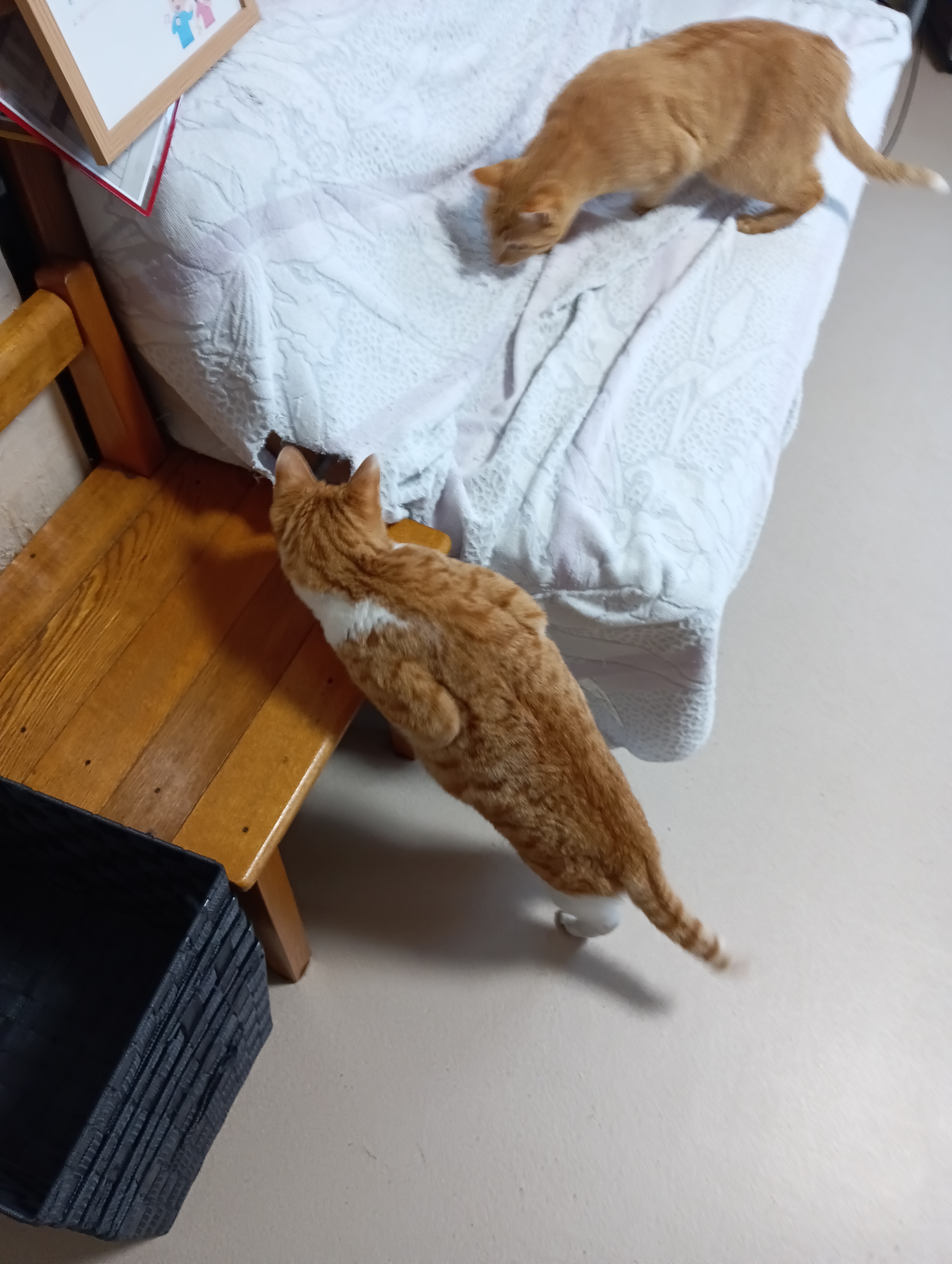 　　　　　　　　　　　　　　　　　　　　　この穴から入るの～　　そうそう　　　なんだかこわいよ～