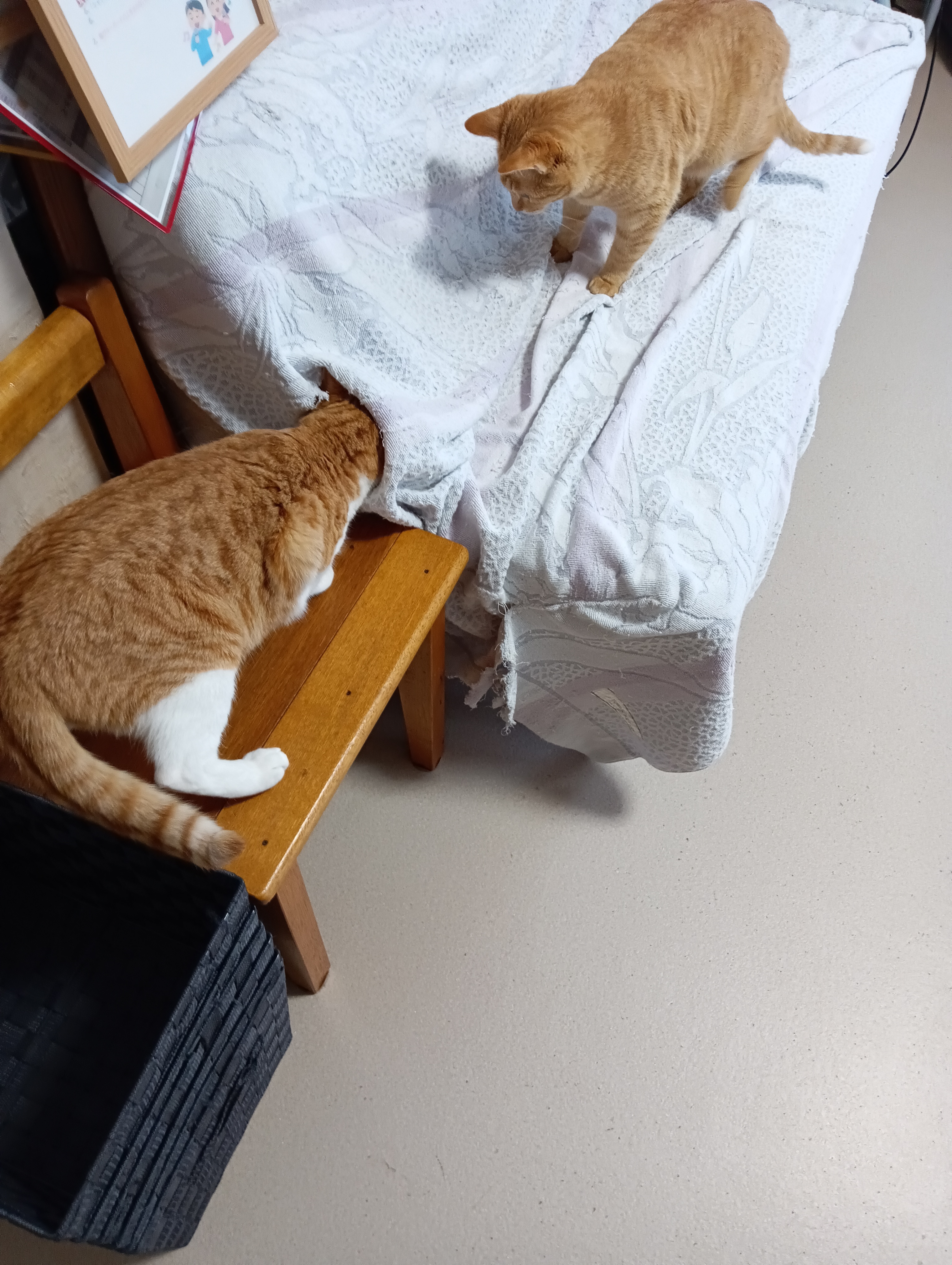 　　　　　　　　　　　　　　　　　　　　　　　　　　　　じゃあ入るよ～　　そうそうその調子よ