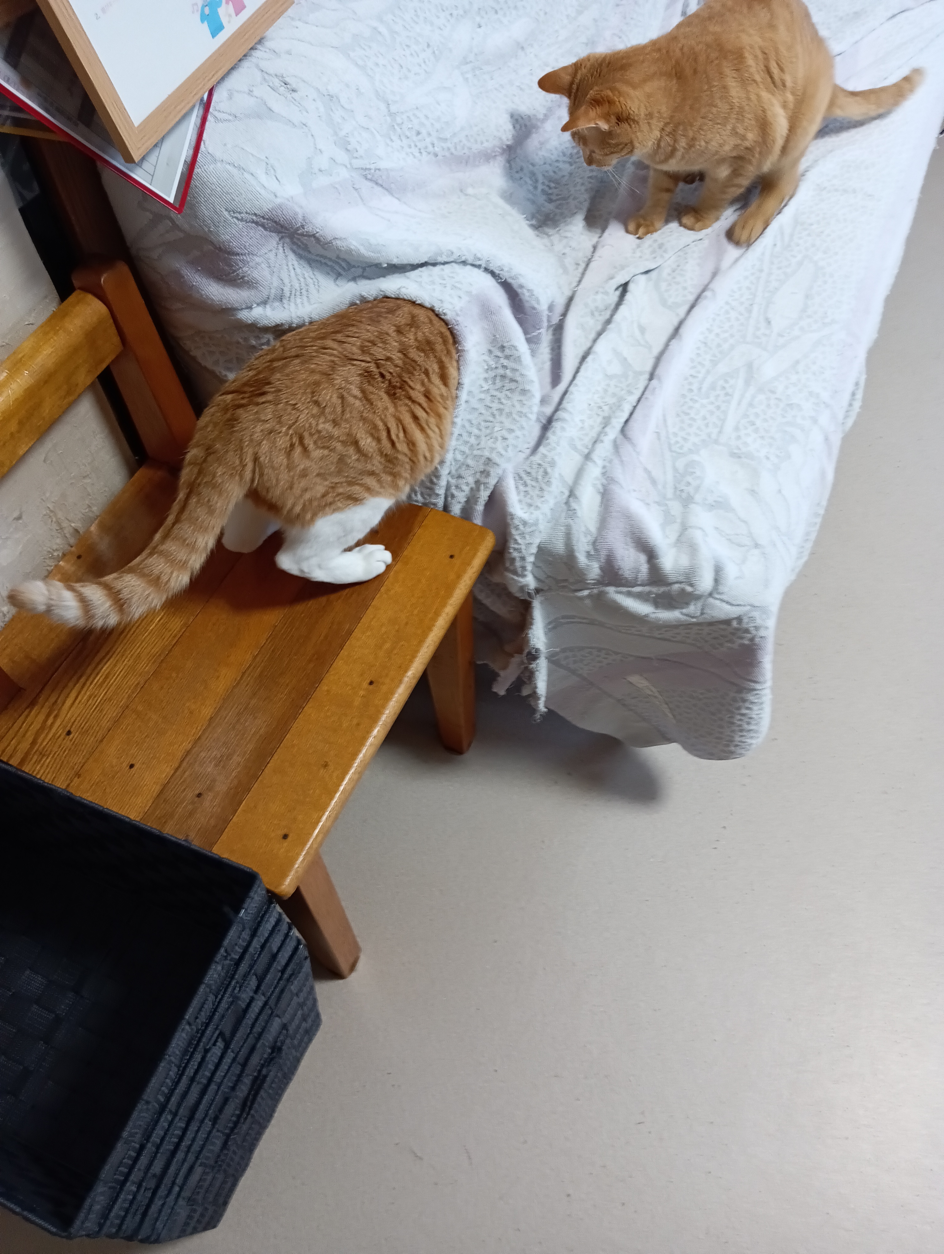 　　　　　　　　　　　　　　　　　　　　　　　　　　　　　　　　　　　　　もっと奥よ！このへんよ