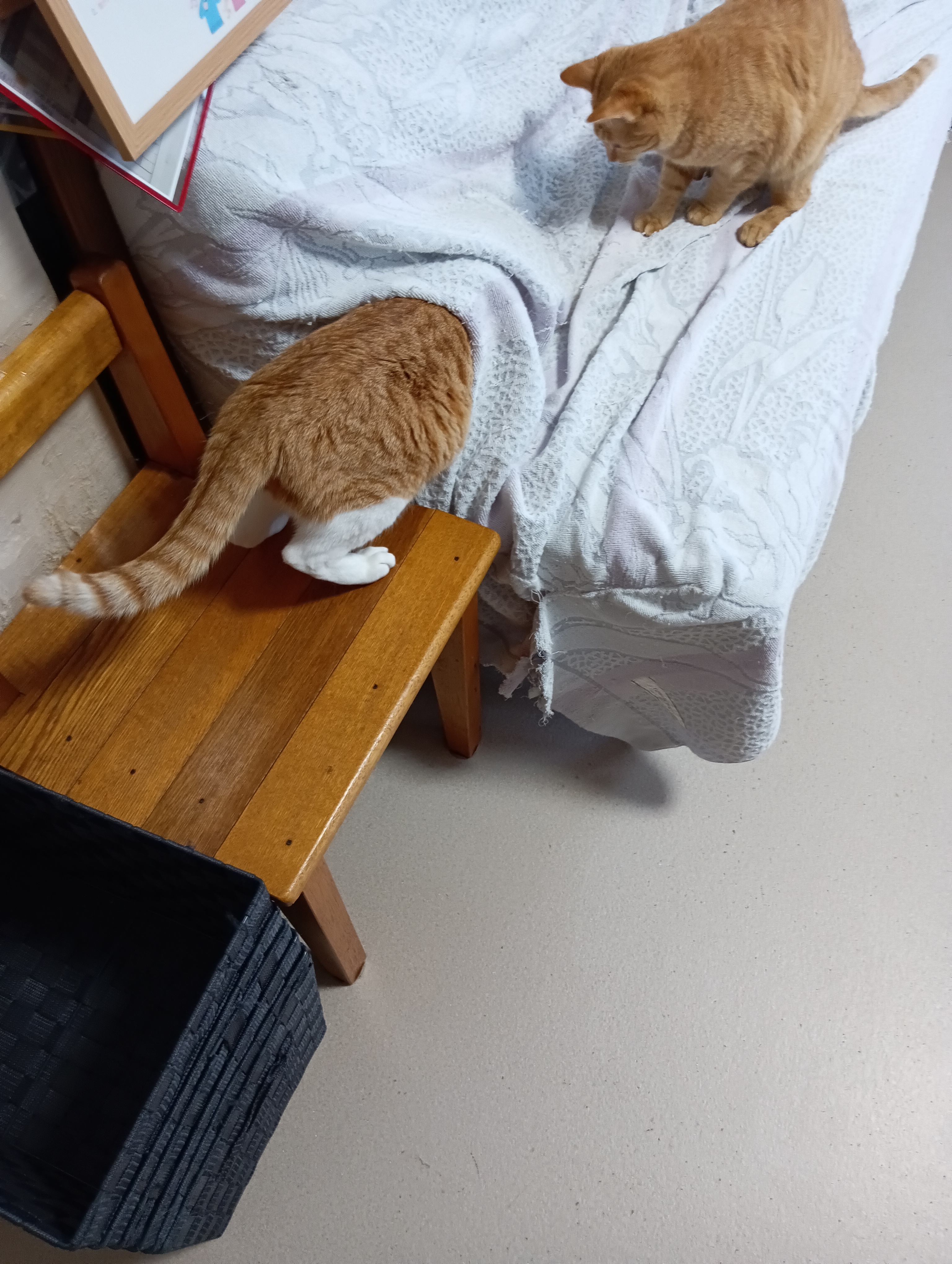 　　　　　　　　　　　　　　　　　　　　　　　　　　　もっと奥だね、よいしょ、こわいよ～