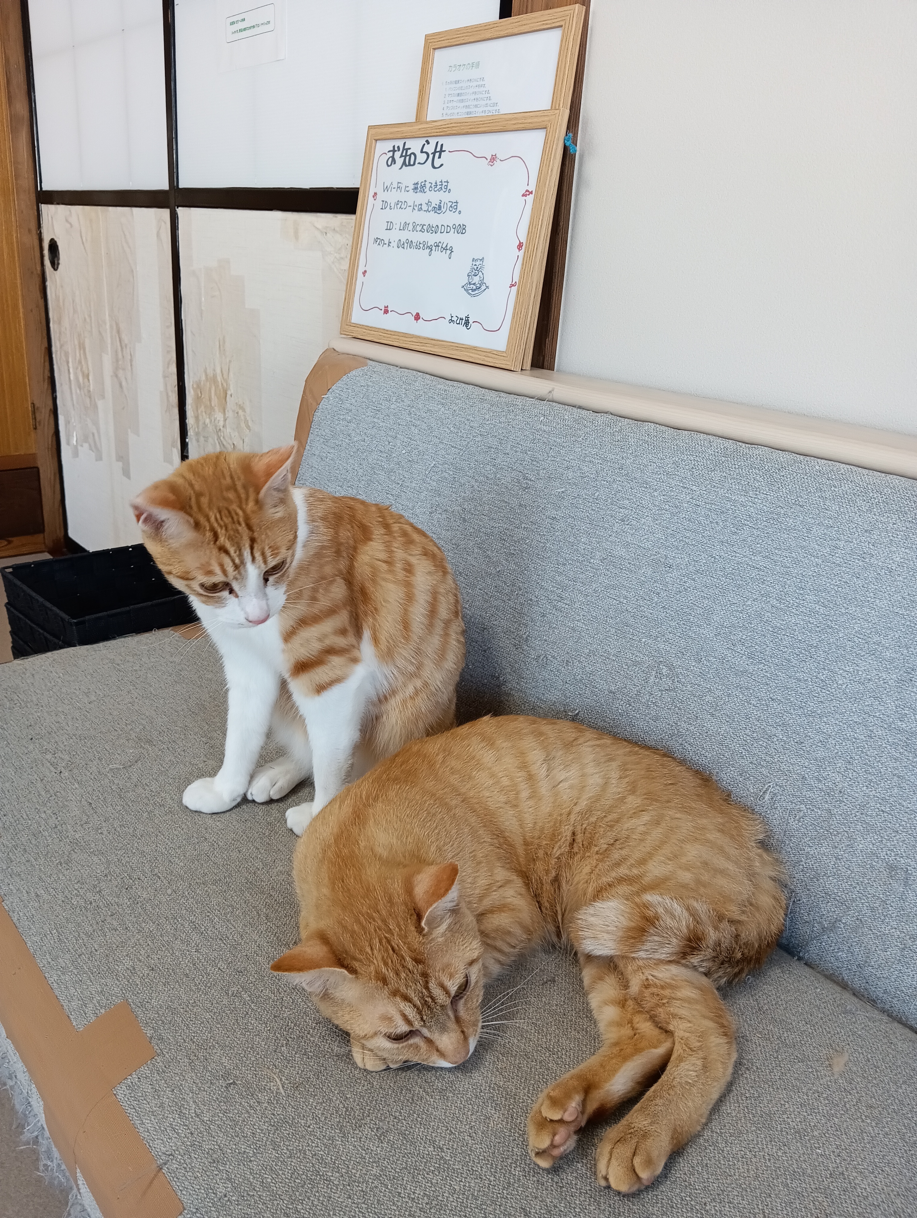 　　　　　　　　　　　　　　　　　　　　　　　　いっつもねてるにゃあ、少しは仕事したら