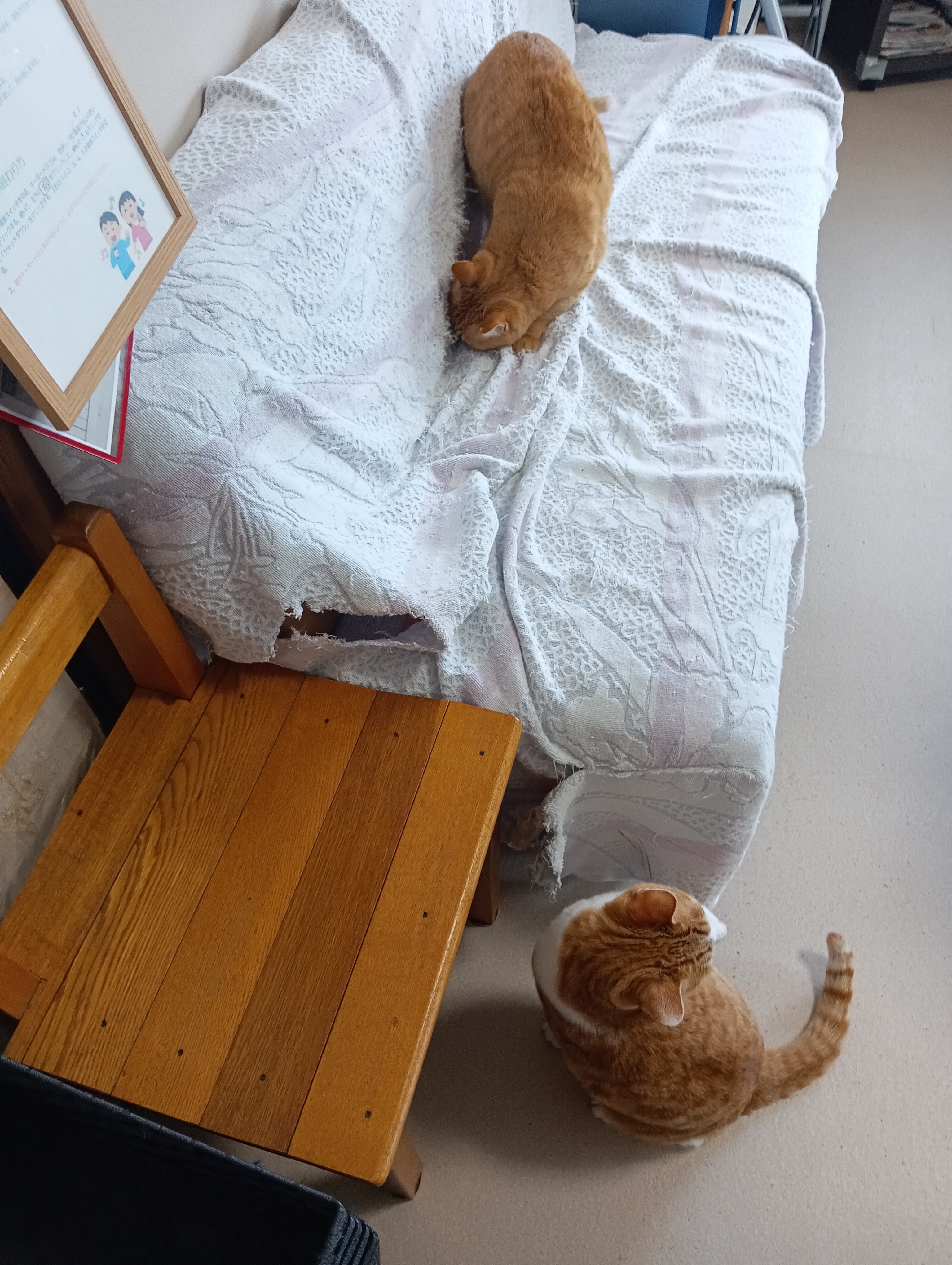 　　　　　　　　　　　　　　　　　　　　　　このあたりがくさいわ  　　くさくなんかないよ～