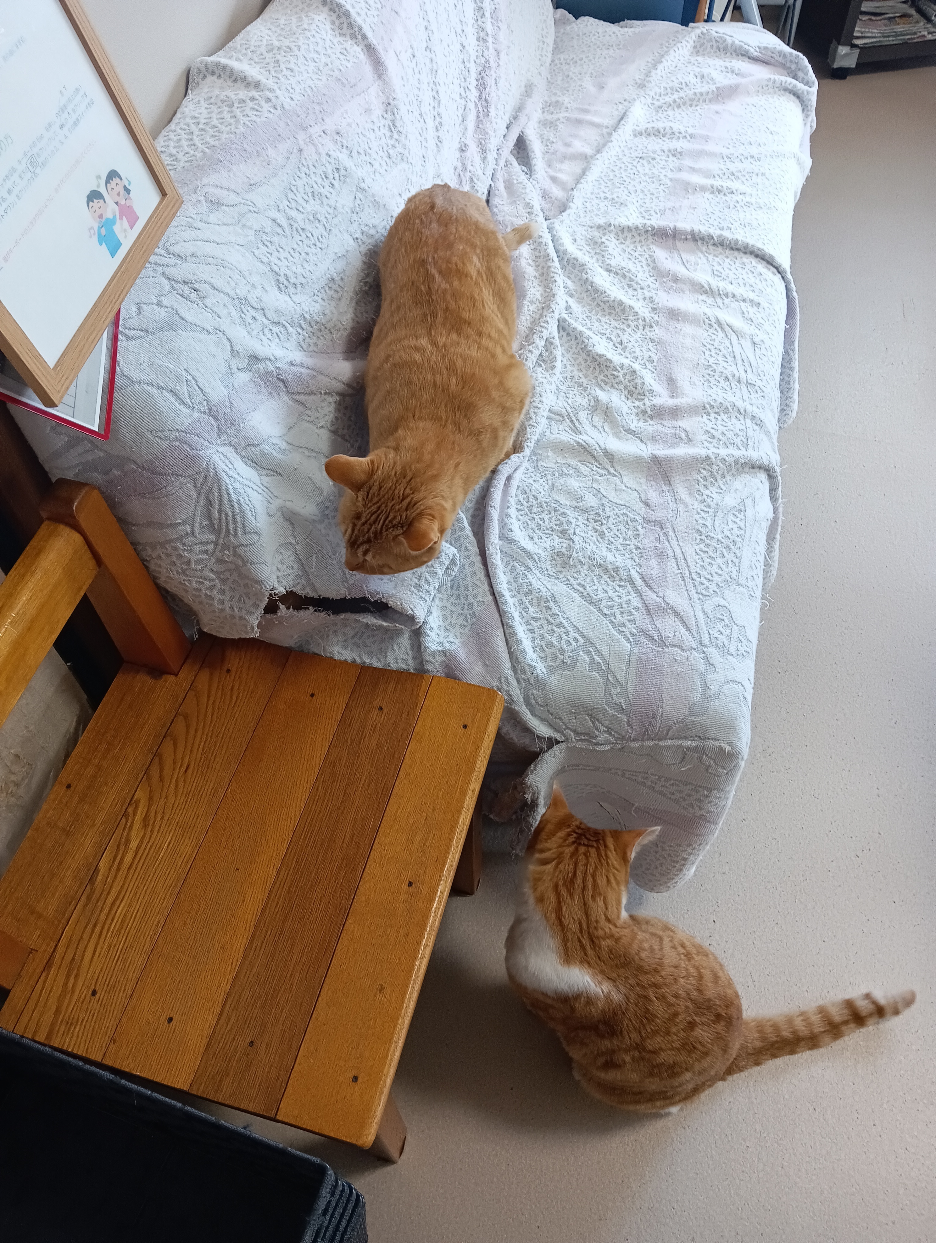 今度は絶対見つけるのよ、分け前はあげるわよ　　　　　分け前なんかほしかないよ～
