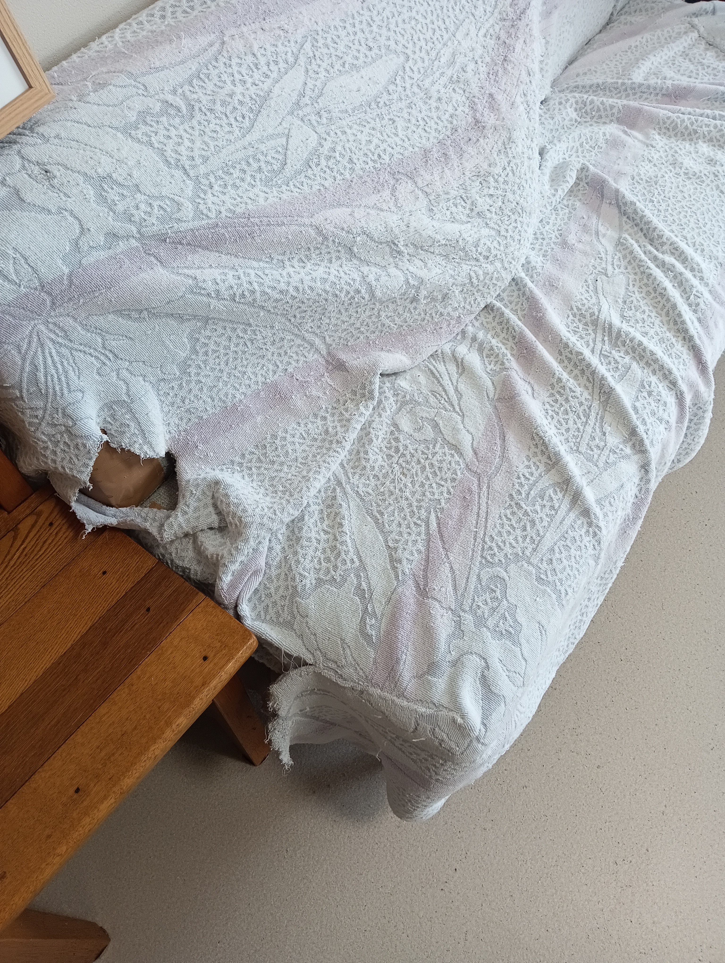 　　　　　　　　　　　　　　　　　　　　　　　ゴソゴソゴソ、ここにはないし、あそこにもないよ～
