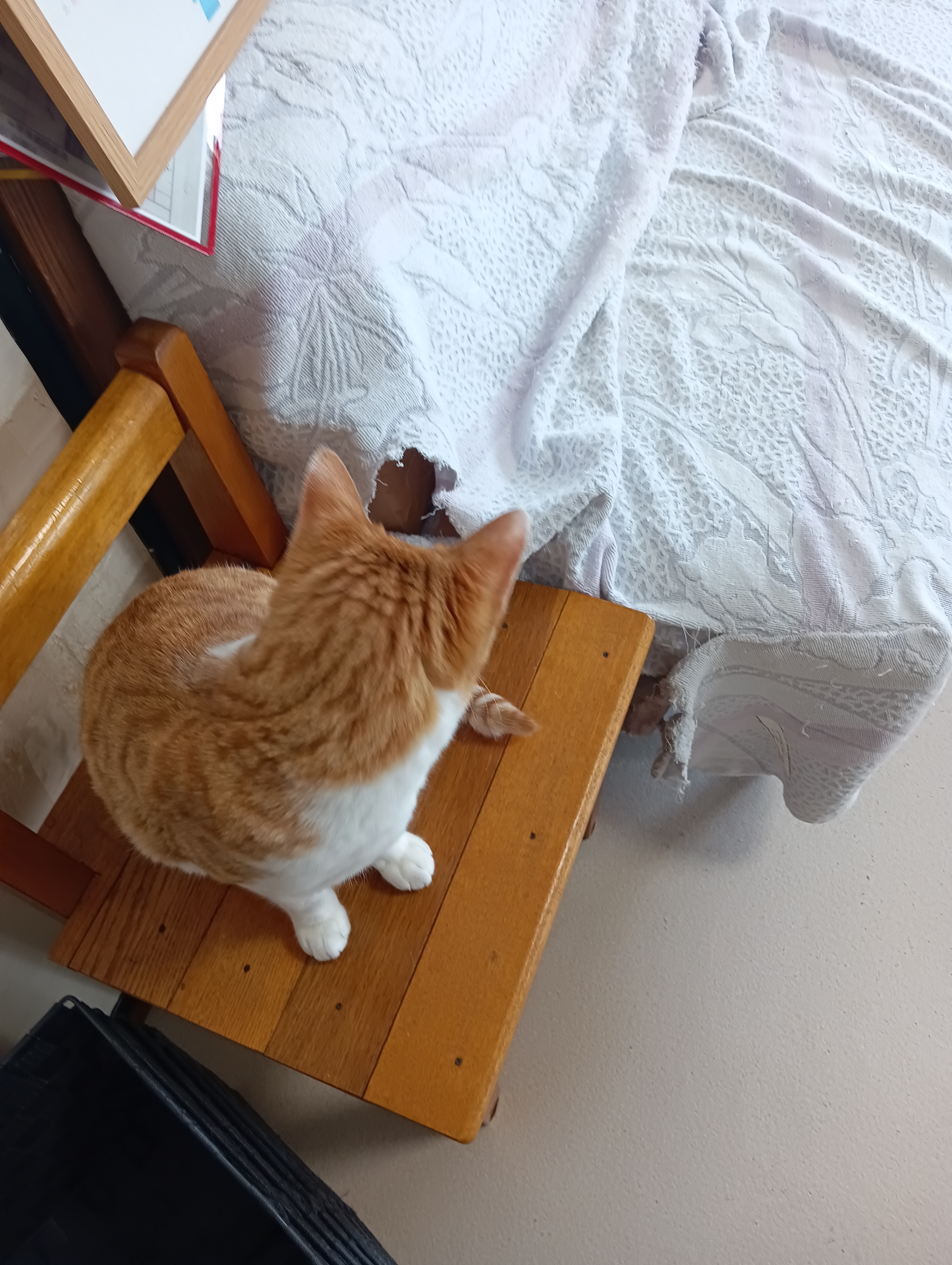 　　　　　　　　　　　　　　　　　　　　　　　ふにゃ～、こわかったー　　　　　　見つかるまで出ちゃだめでしょ！