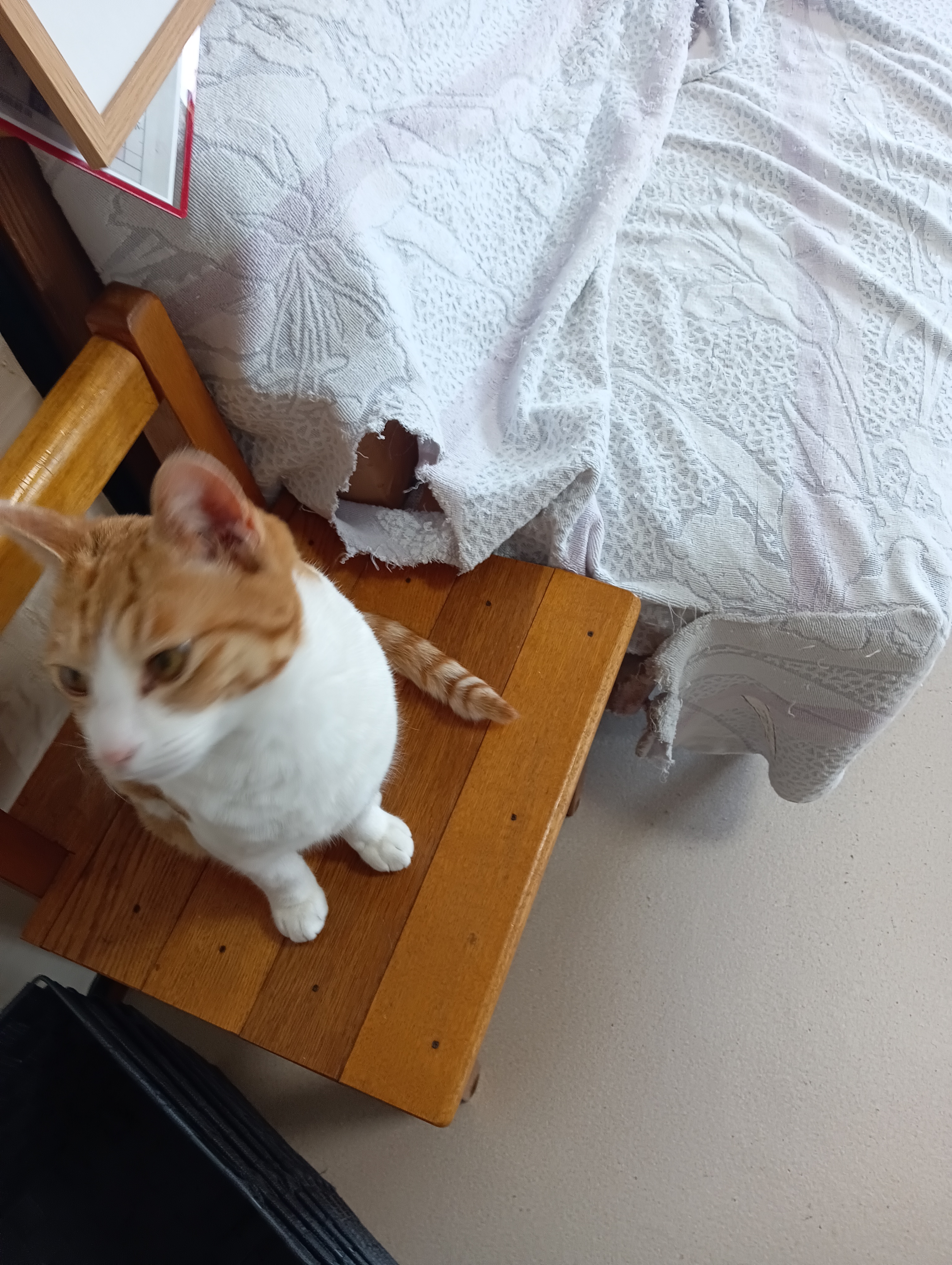　　　　　　　　　　　　　　　　　　　　　　　　分け前ほしくないの！　　　しょせん「猫に小判」だよ～