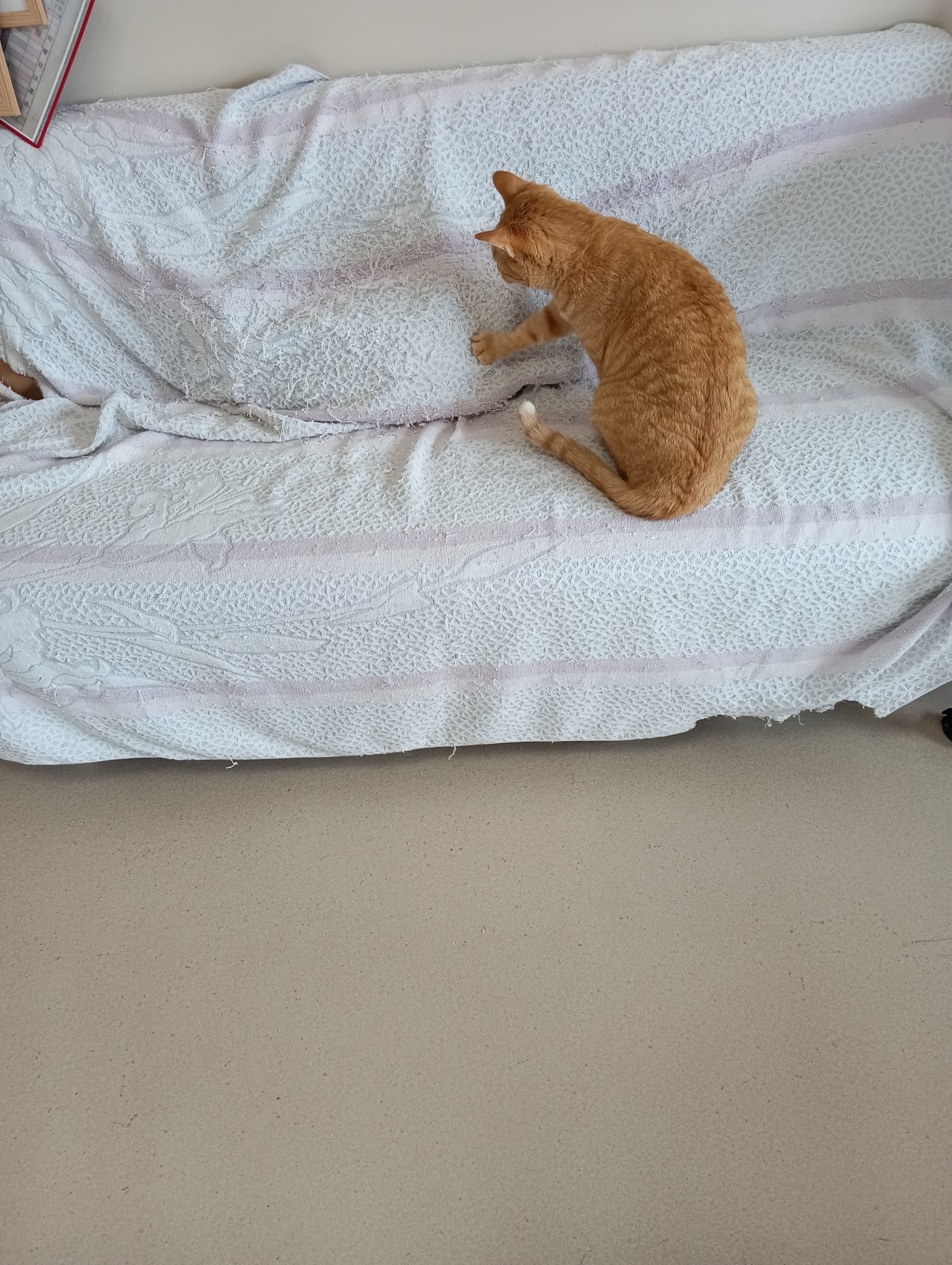 　　　　　　　　　　　　　　シーちゃんいるの？返事をなさい               ・・・・・・・・・・・