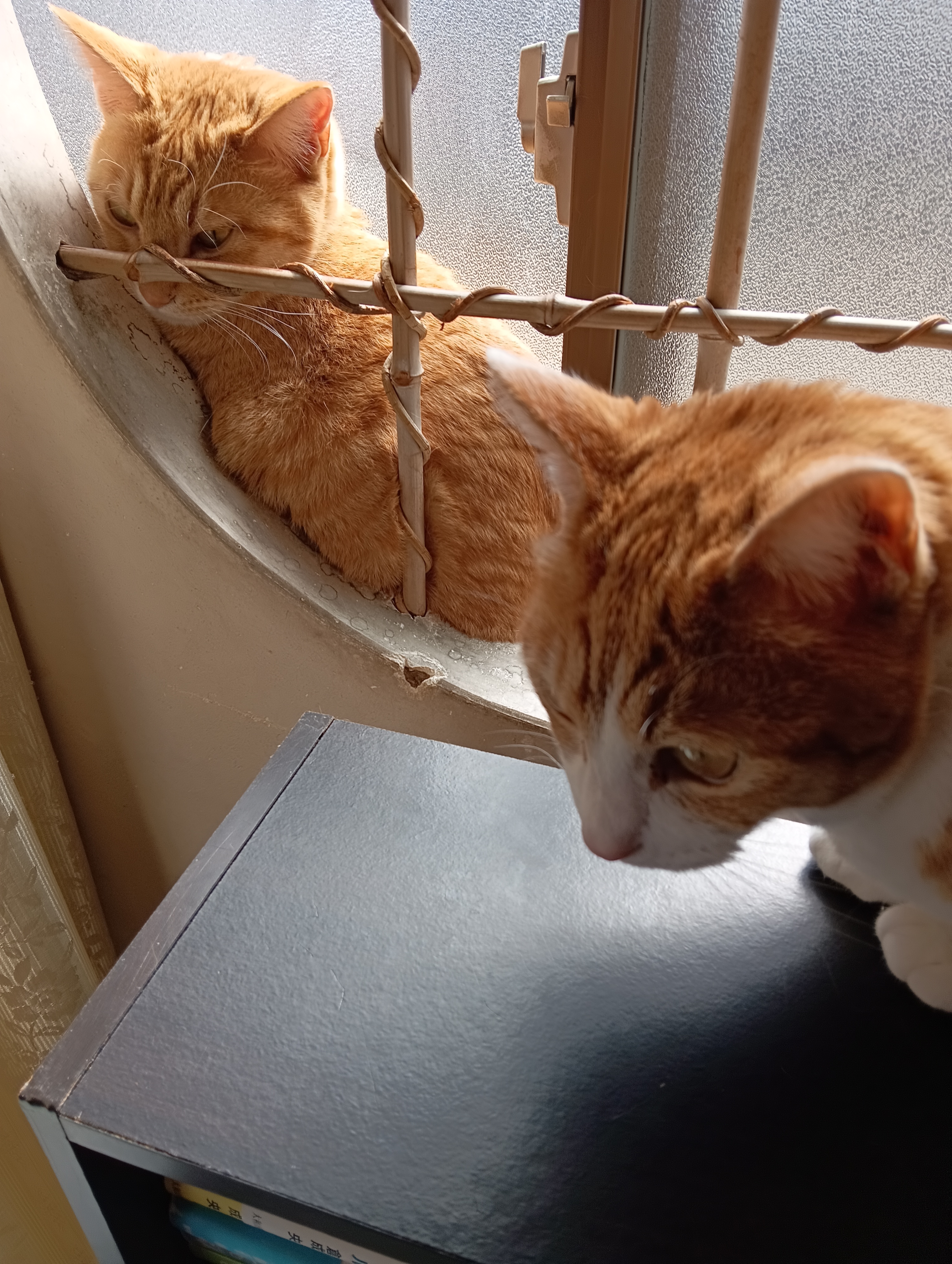 　　　　　　　　　　　　　　できるわけないと思うよ　　　　大丈夫よ,よってけ庵で訓練済よ
