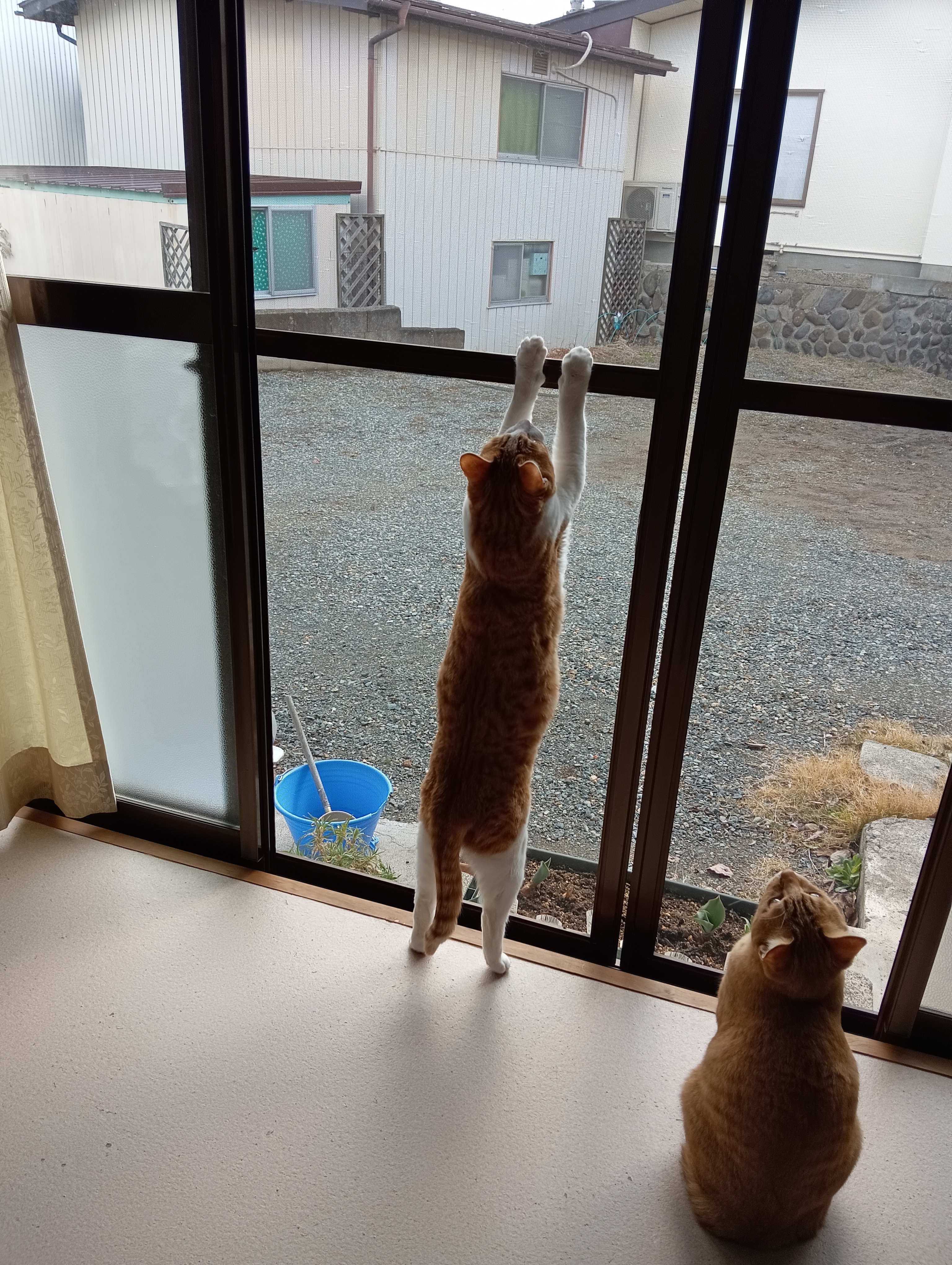 だめだ～、ふ～今日は体調悪い　　　だらしないのね