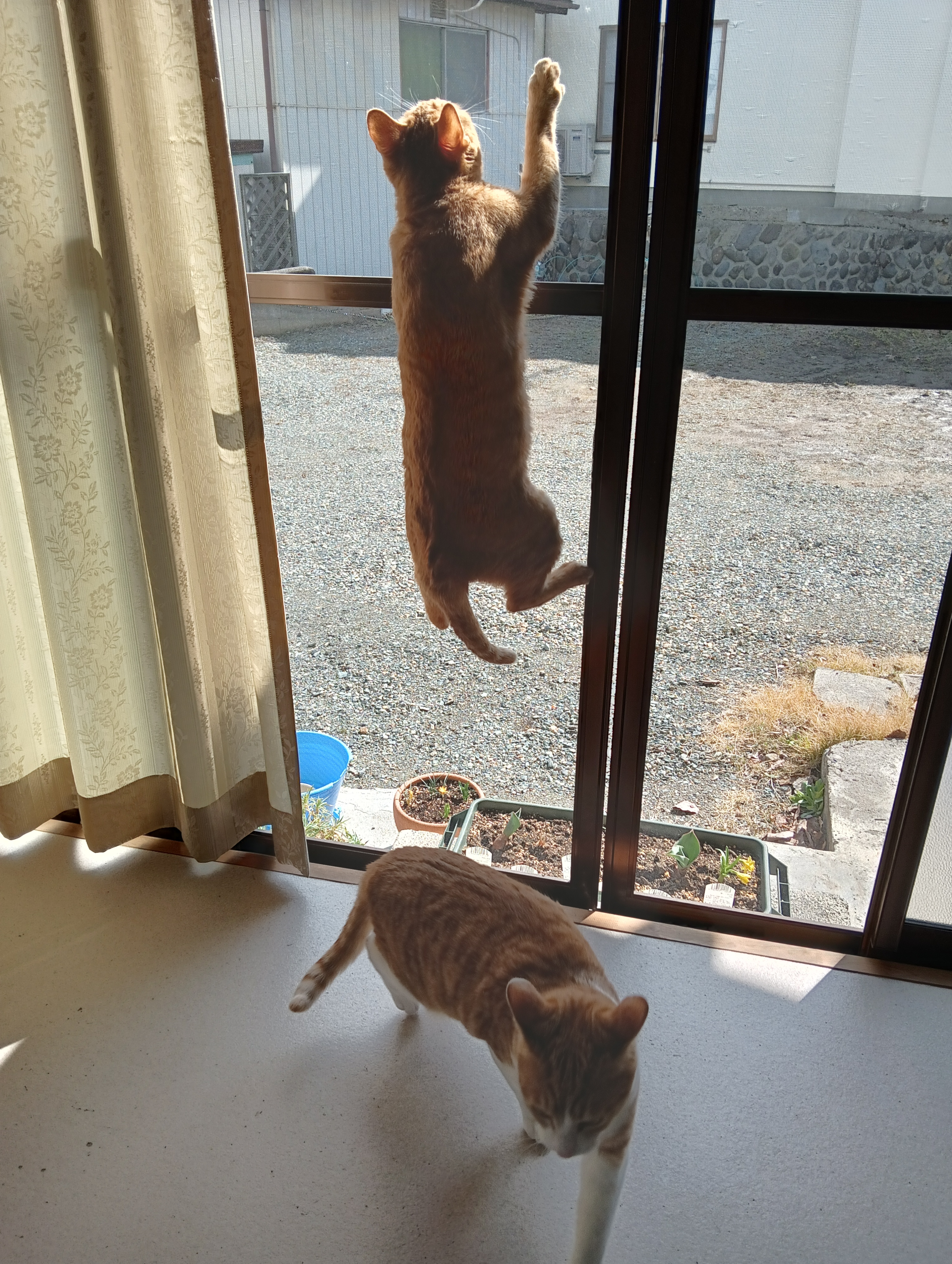 なにいってんの、見てらっしゃい！　　いまのうちに逃げとこ