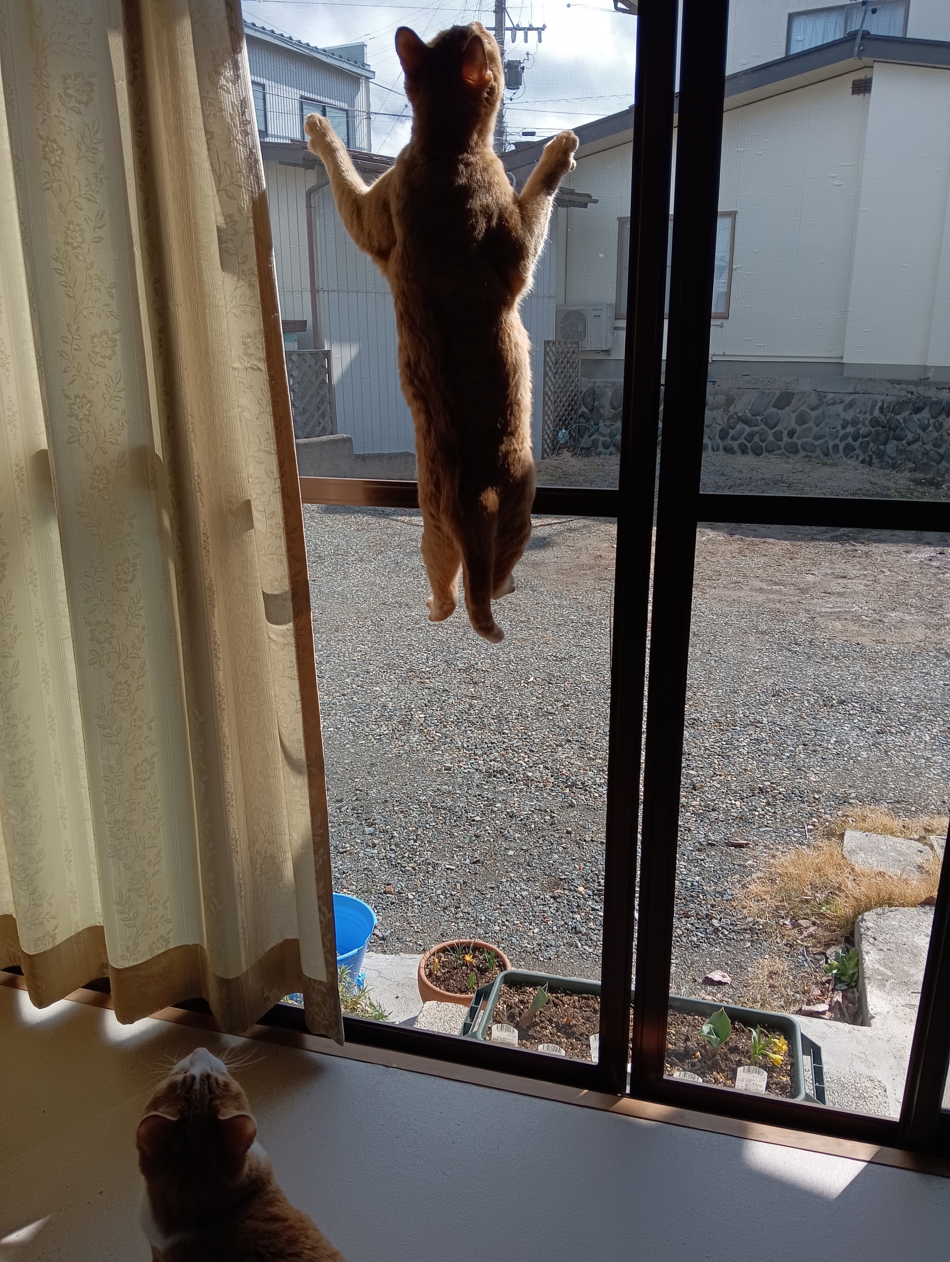 　　　　　　　　　　　　　　　　　　　　　　　　　　　　　　　　　　　　　　　　　　ホイ！
