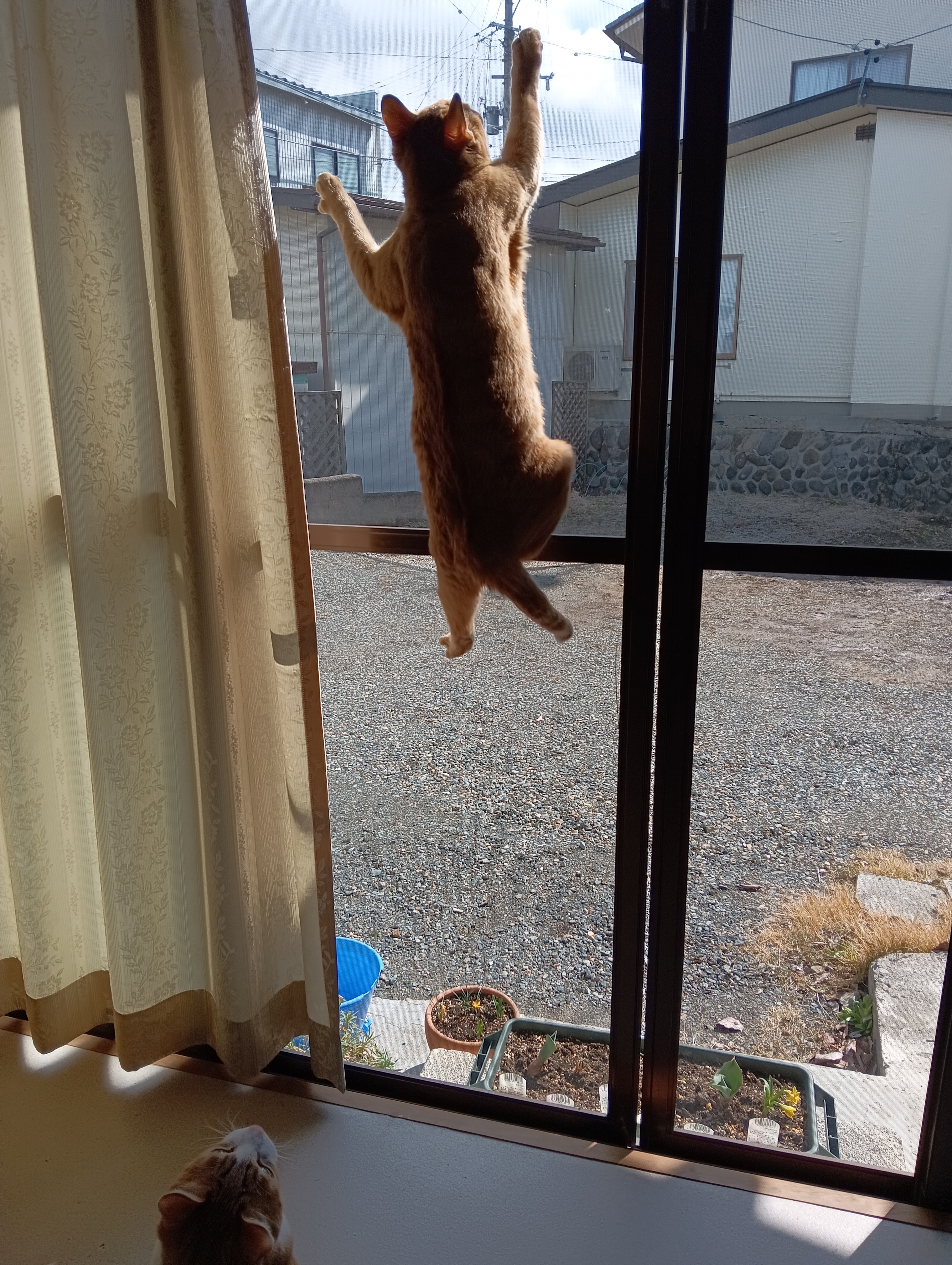 　　　　　　　　　　　　　　　　　　　　　　　　　　　　　　　　　　　　　　　　　ホラサ！