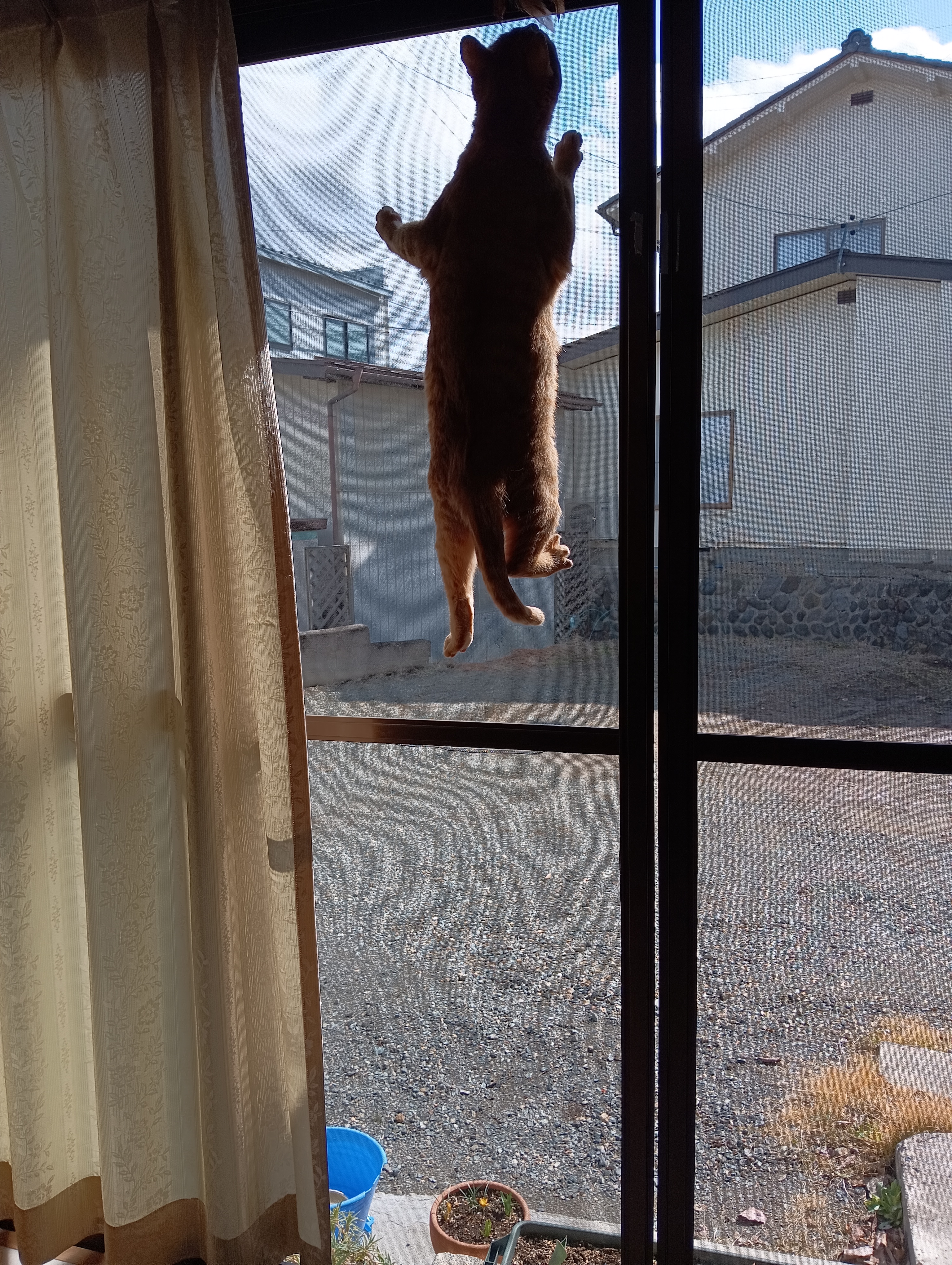 　　　　　　　　　　　　　　　　　　　　できたわ！でもちょっと体重減らさなきゃ、ふ～
