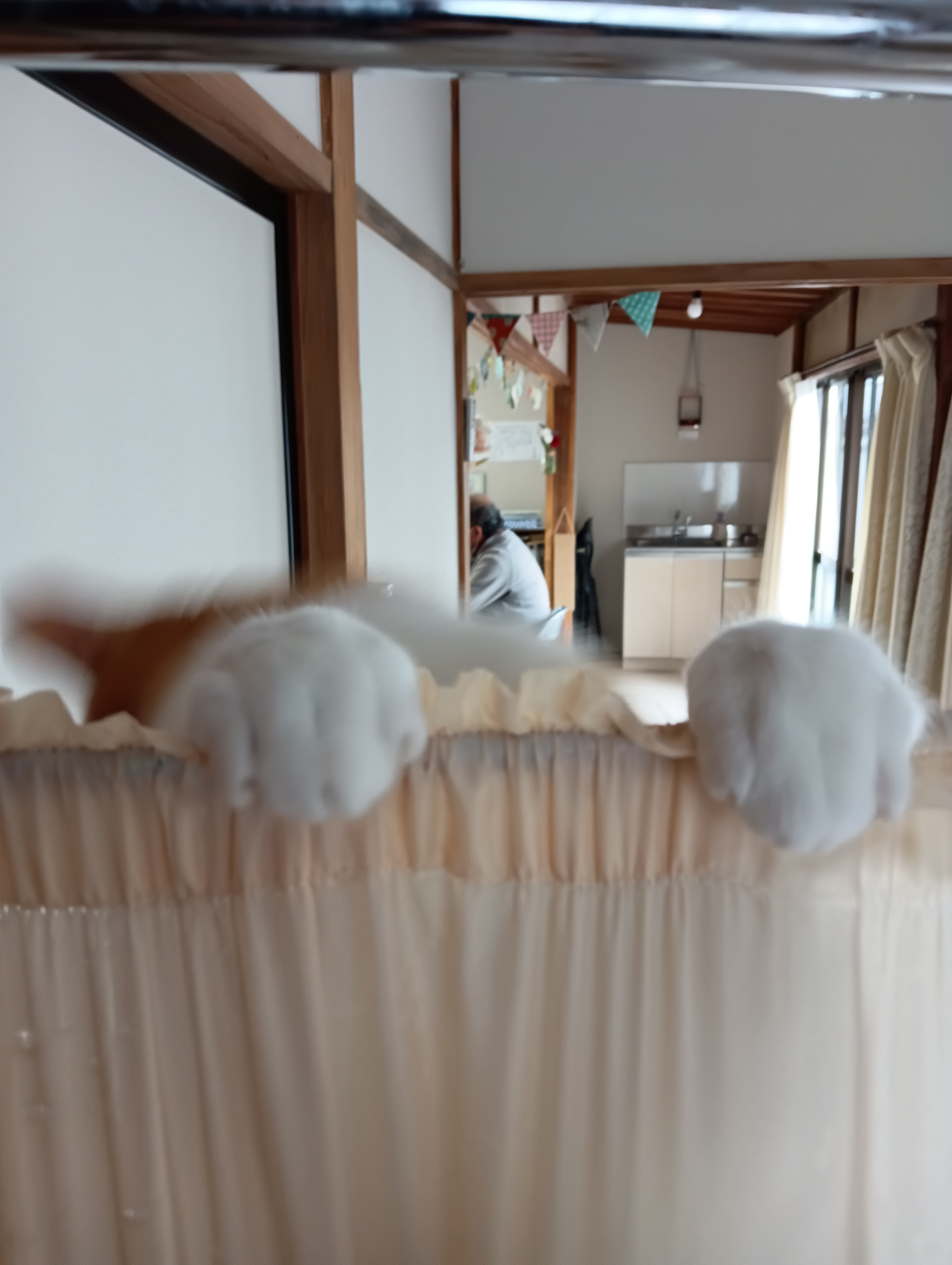 だれ、いきなりこの手は