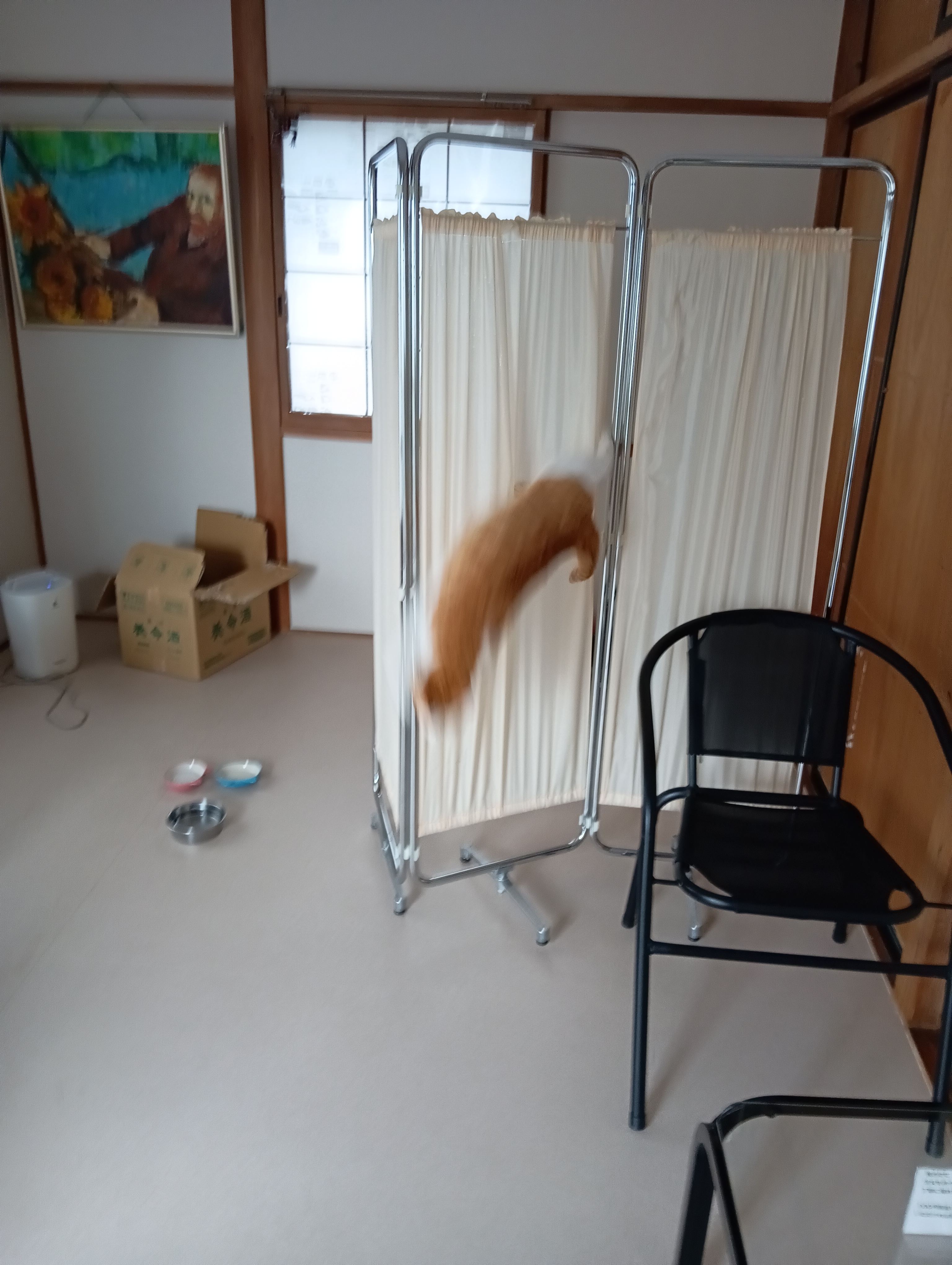 ほら、落ちたでしょ！