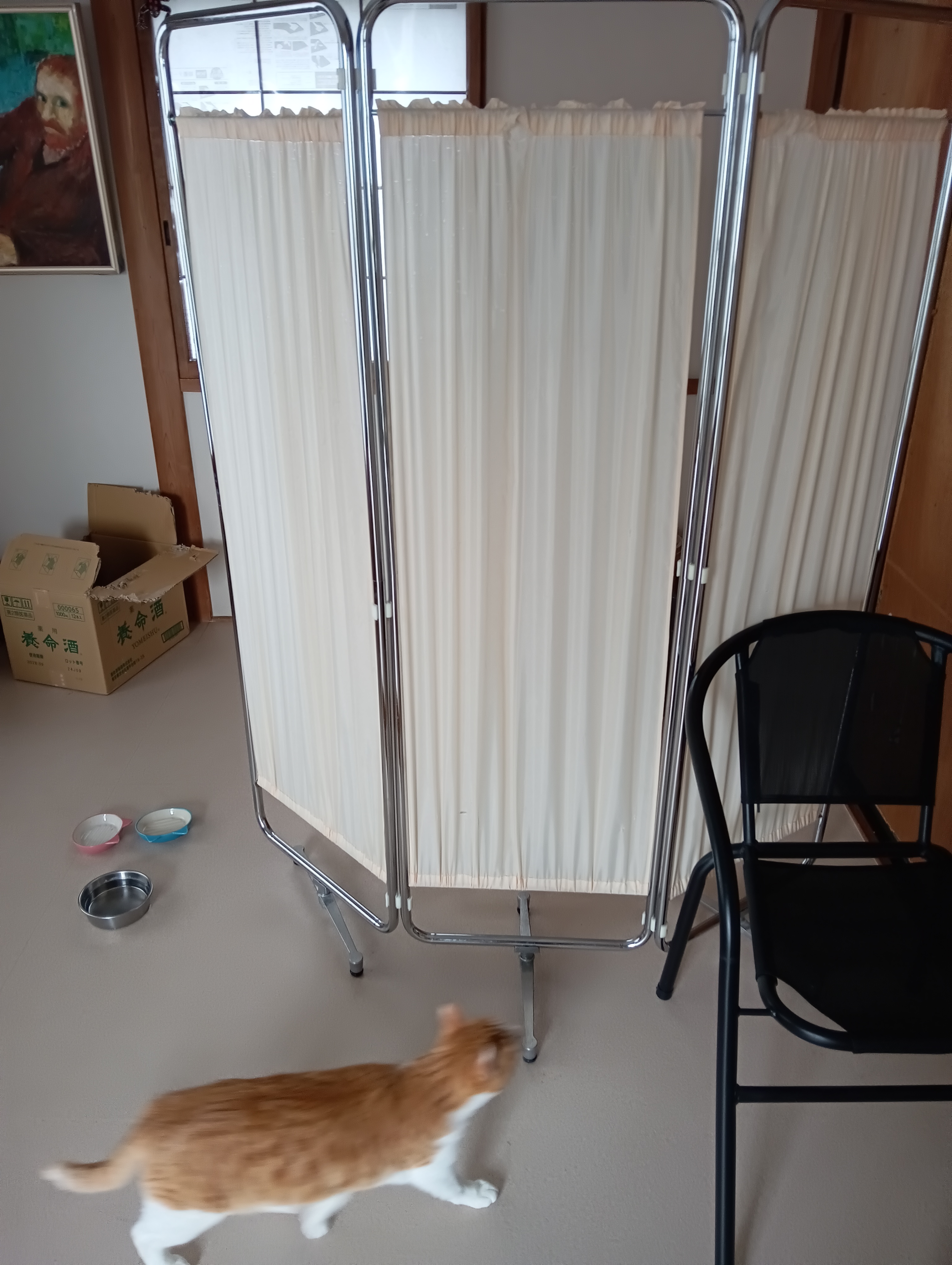 また来た、こんどはどうしたいの？