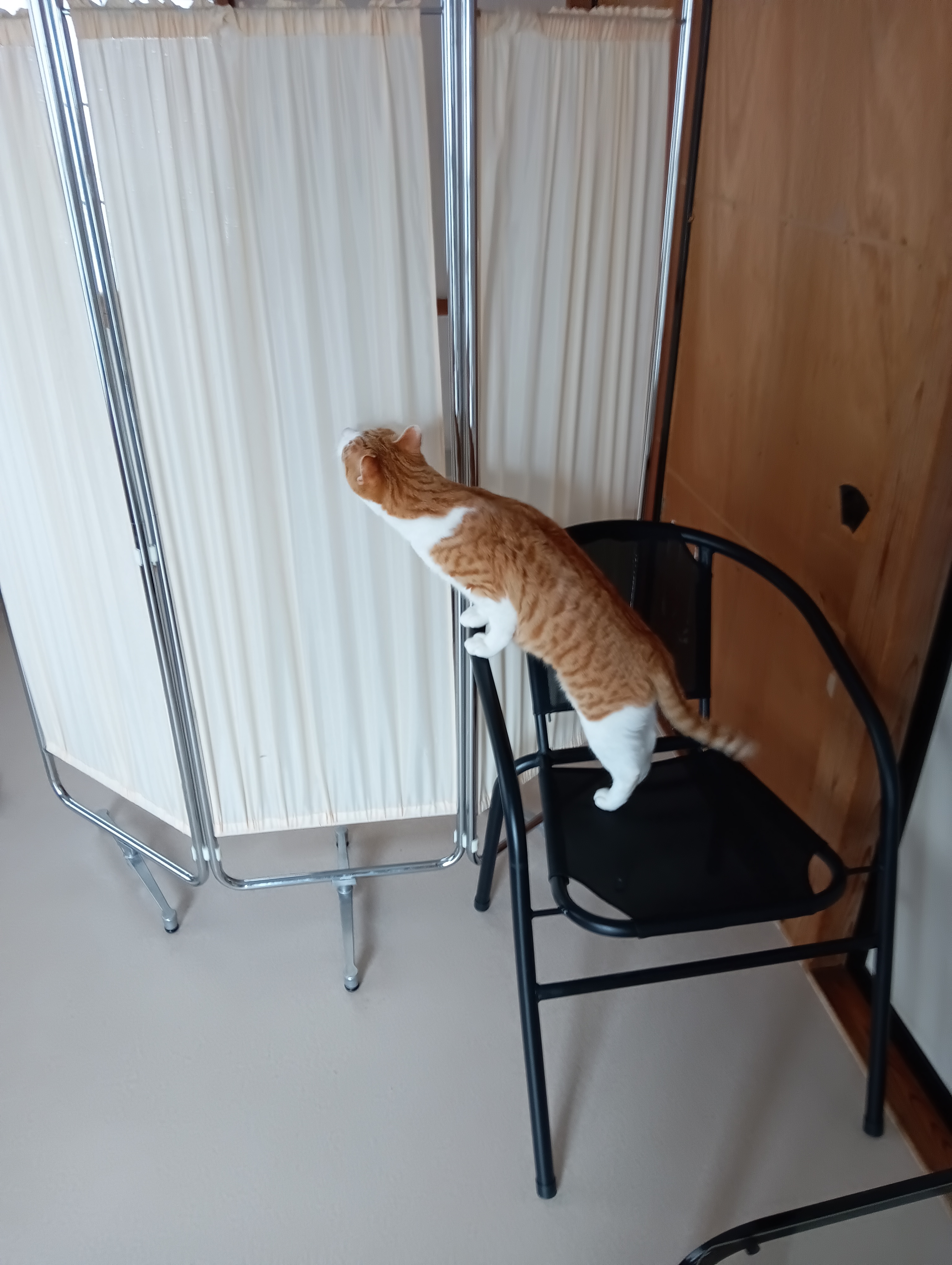 またのぞき、趣味が悪いよ