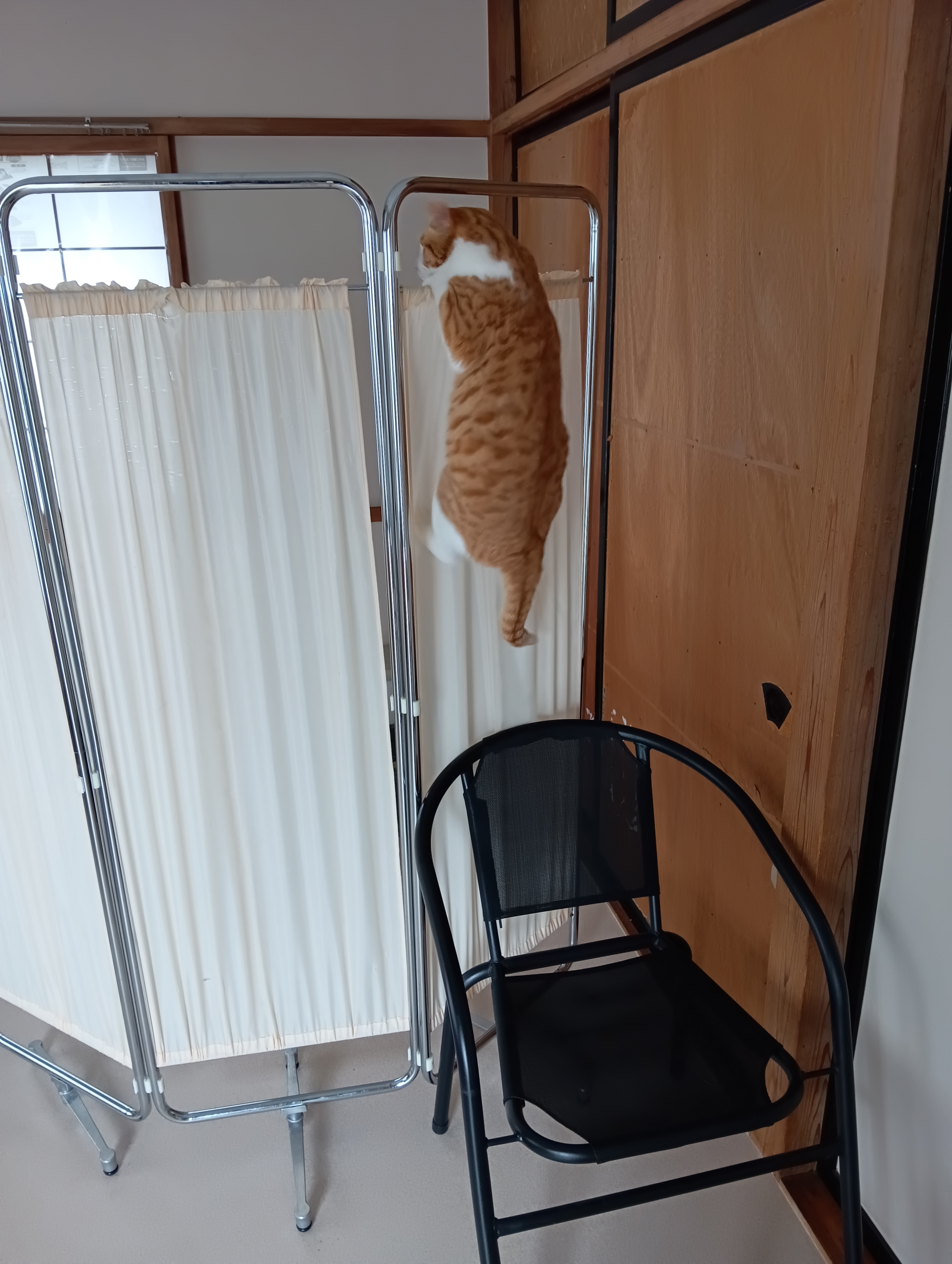 やっぱりシーちゃんだ、あぶないよ、それにのぞきはよくないよ