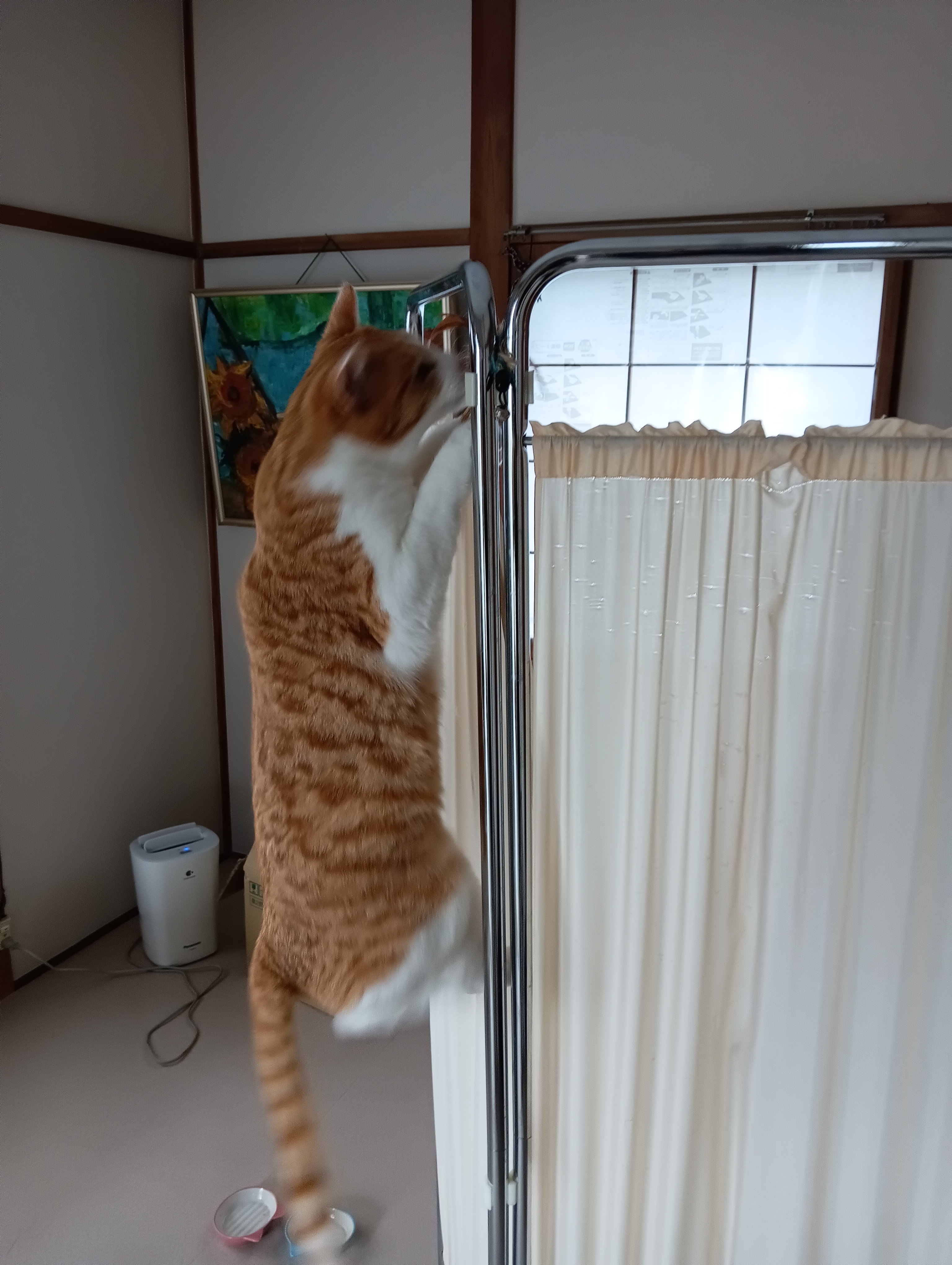 またあ、こんどはどうしたいの？やっぱりいい子じゃないね