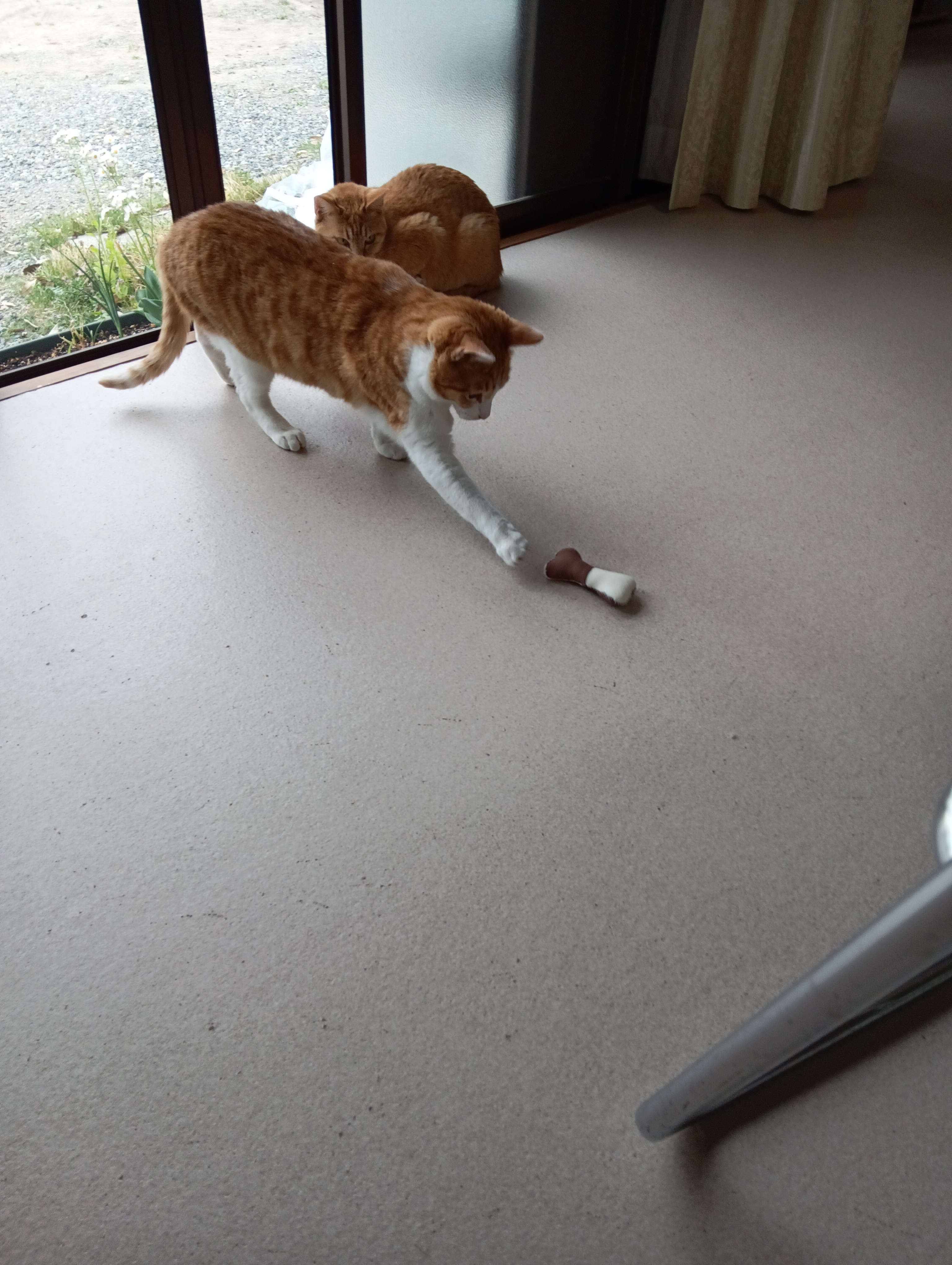 　　　　　　　　　　　　　　　　　　　　　　　　エーイ！猫パンチにゃあ！
