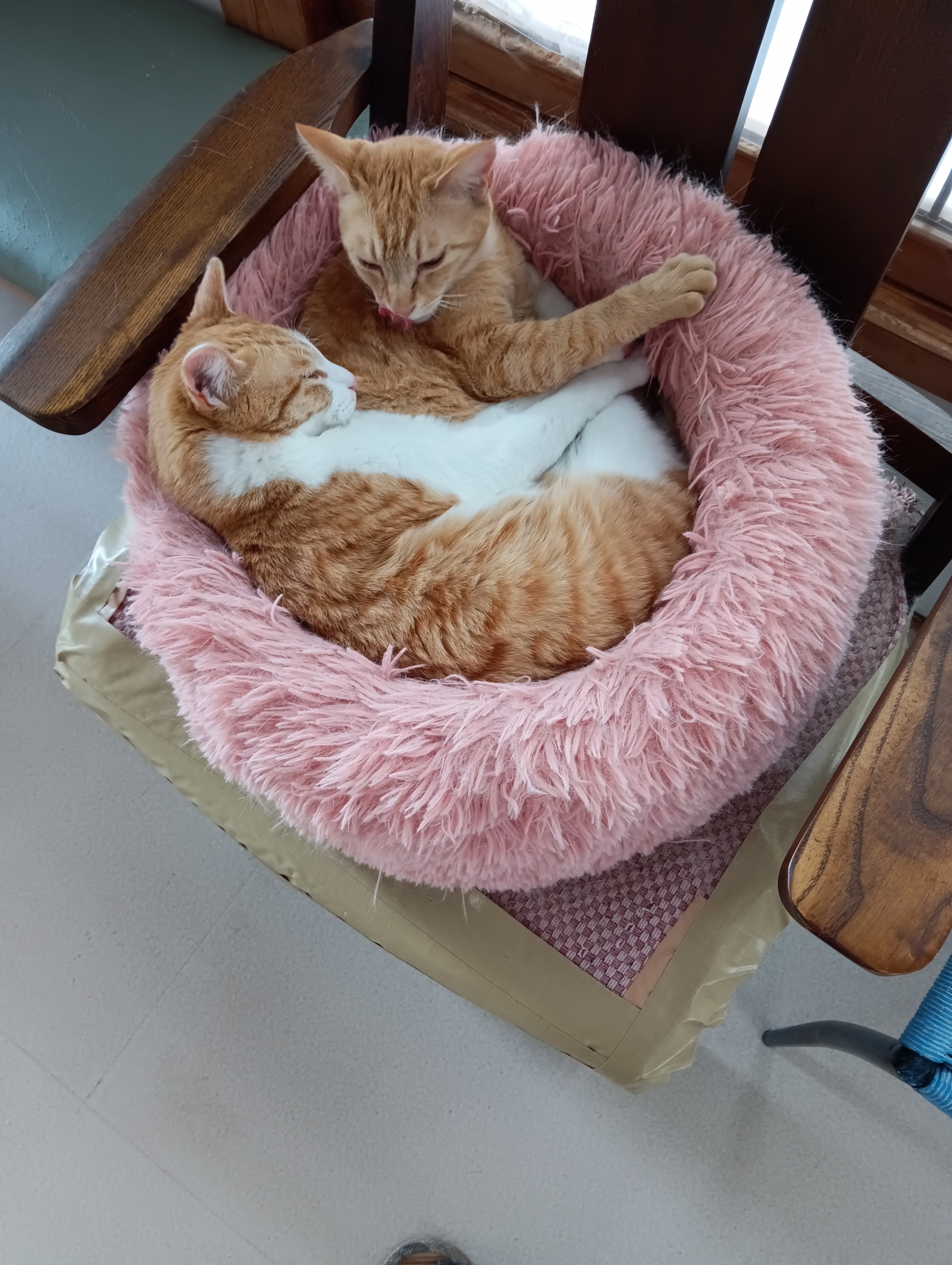 　　　　　　　　　　　　　　　　　　　　　　　　　　気分は露天風呂、んだにゃあ極楽極楽