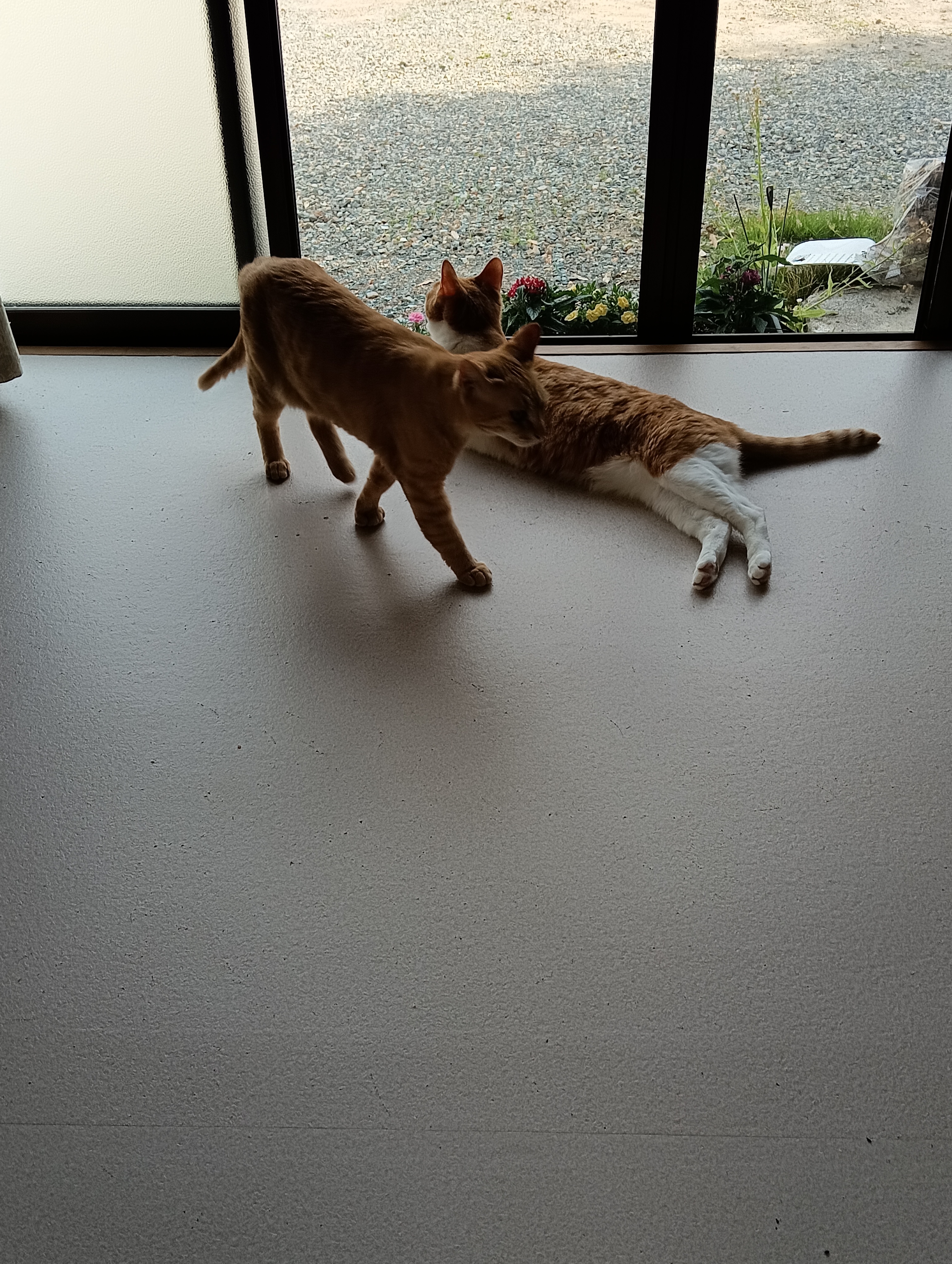 　　　　　　　　　　　　　　　　　　　　　　もういいわ！あたち出てくわ！お元気でね　　　　勝手におしよ・・・