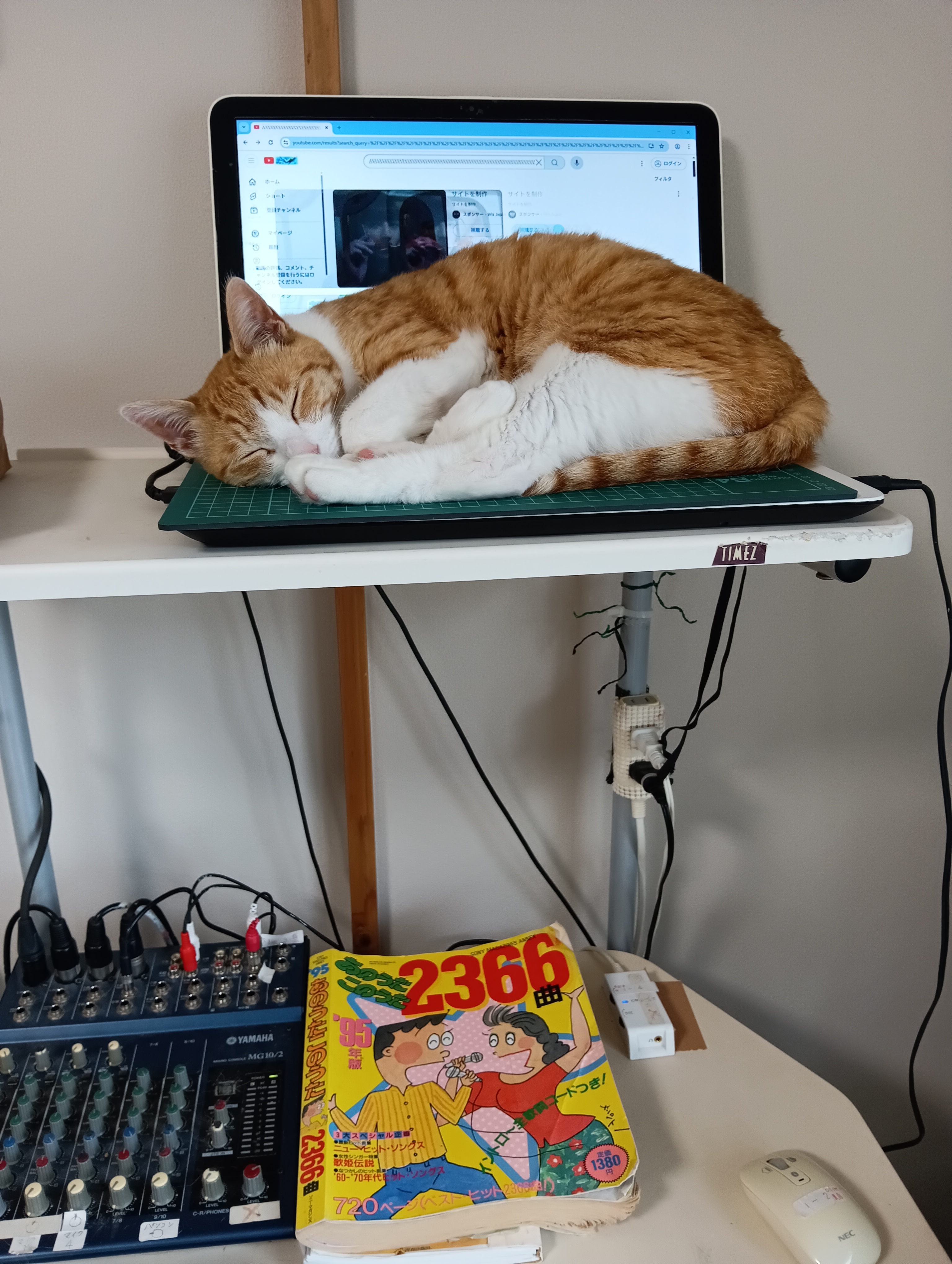 　　　　　　　　　　　　　　　　　　　　　　　　　　　　　　　（シーちゃん、なにうなされてるの）