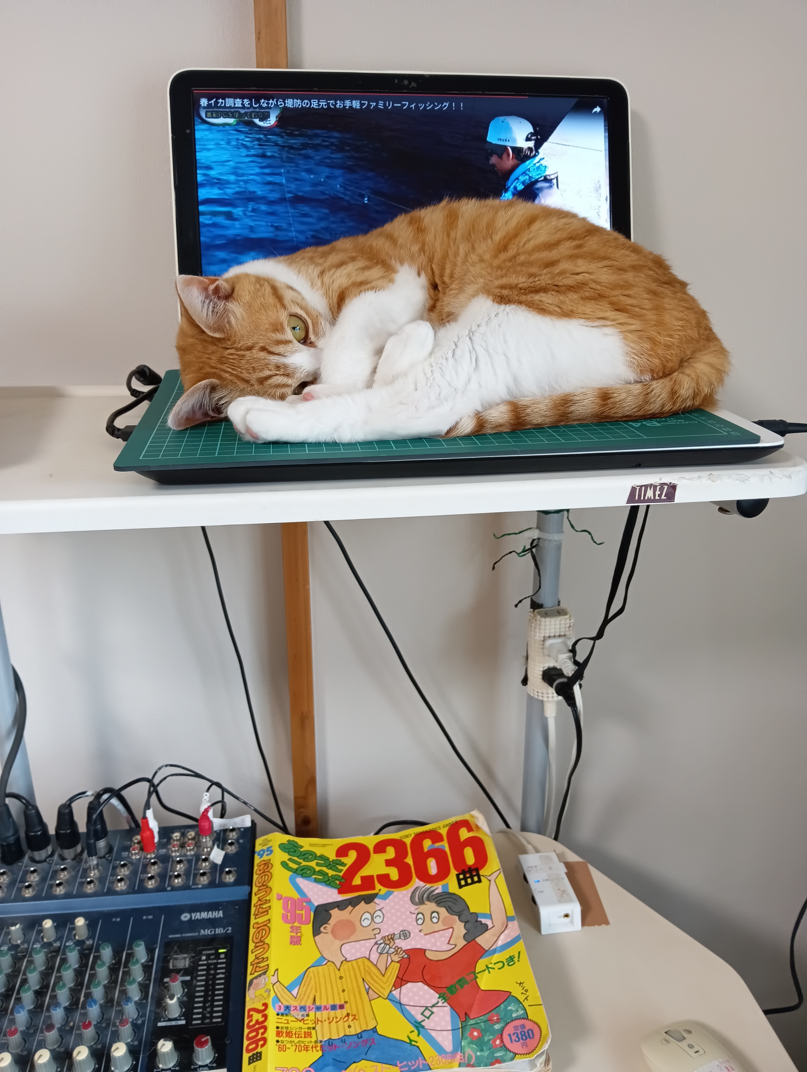 　　　　　　　　　　　　　　　　　　　　　　　　　　夢の中で怒ってたの、干支になぜ猫がいないのか