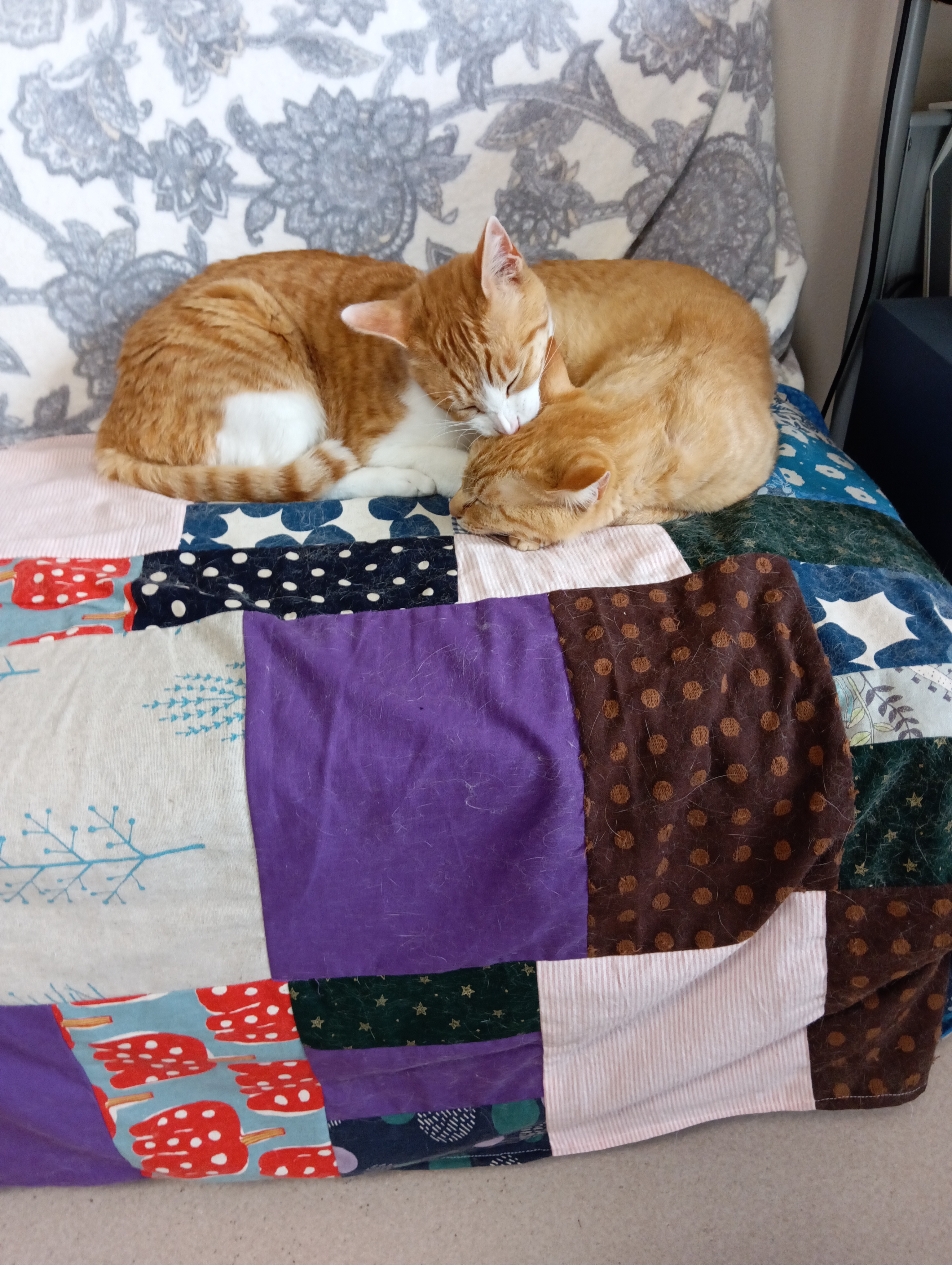 　　　　　　　　　　　　　　　　　　　　　　　　チーコさま、なぜ干支にわれら猫族がないのですか？