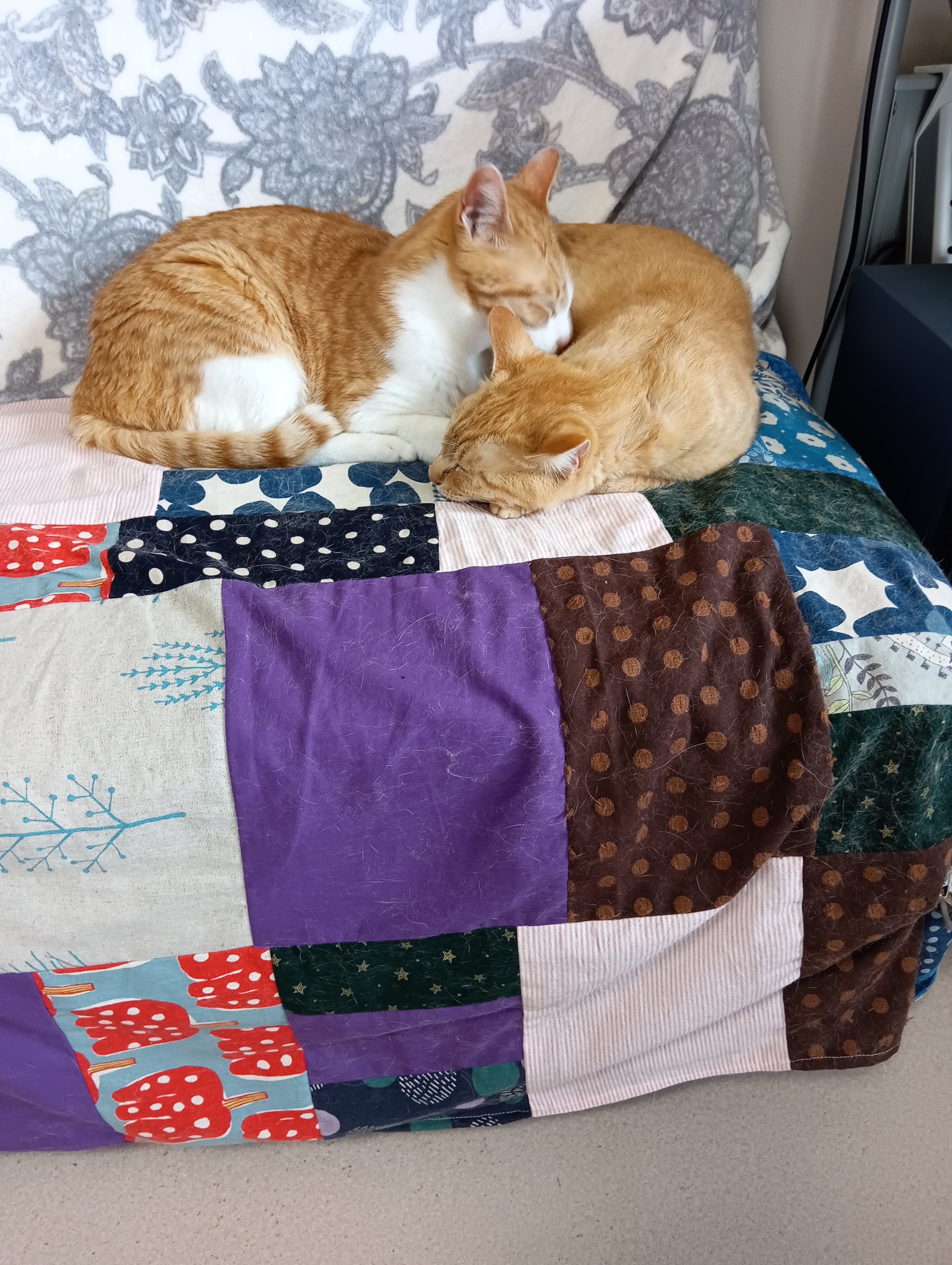 　　　　　　　　　　　　　　　　　　　　　　　　　うるさいわねー、そんなことどうだっていいじゃない！あたちは眠いの！