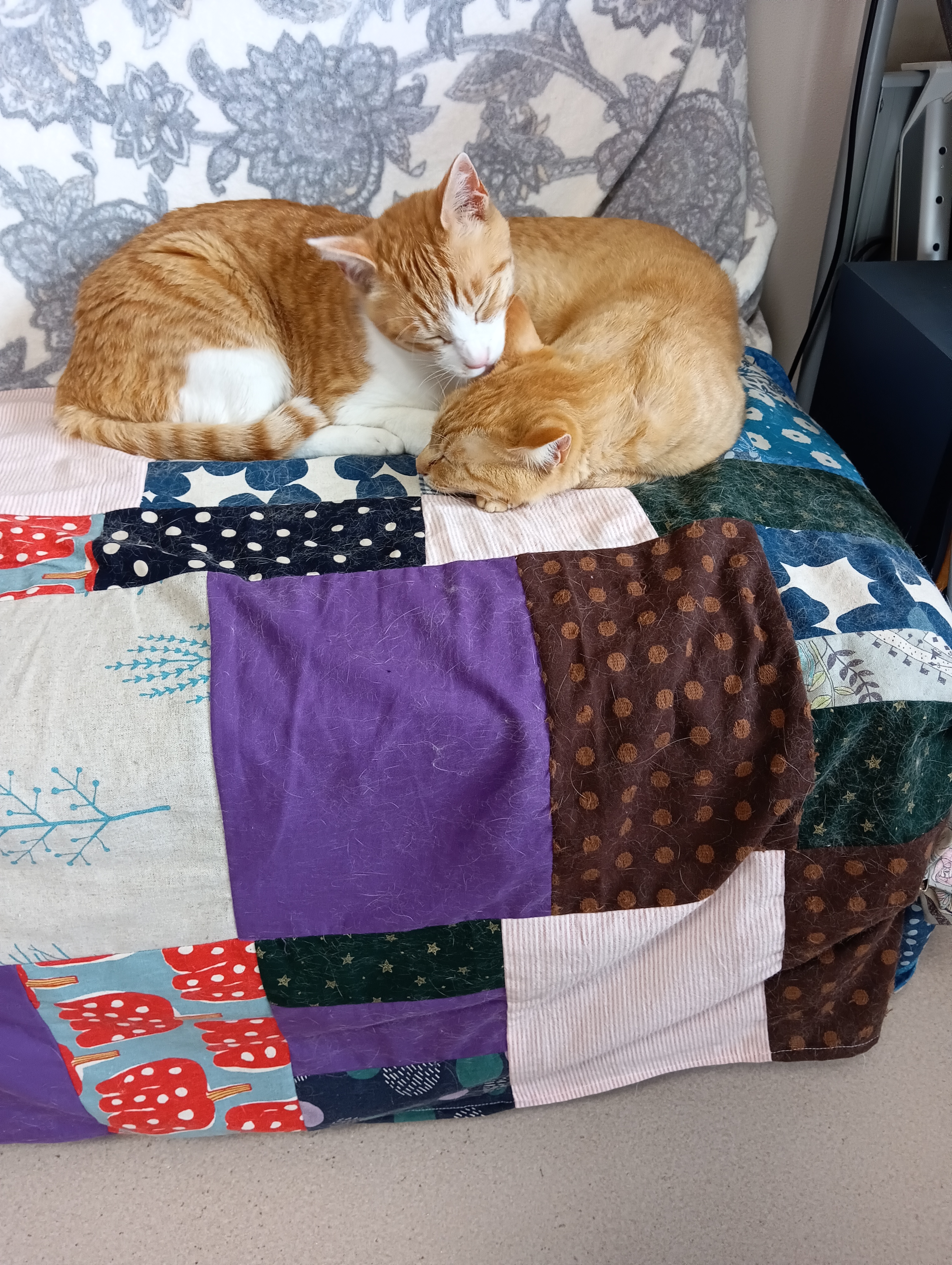                                       おせーておせーて　　　　　神様が干支を決める会議に猫族は欠席したの、しょうがないのよ