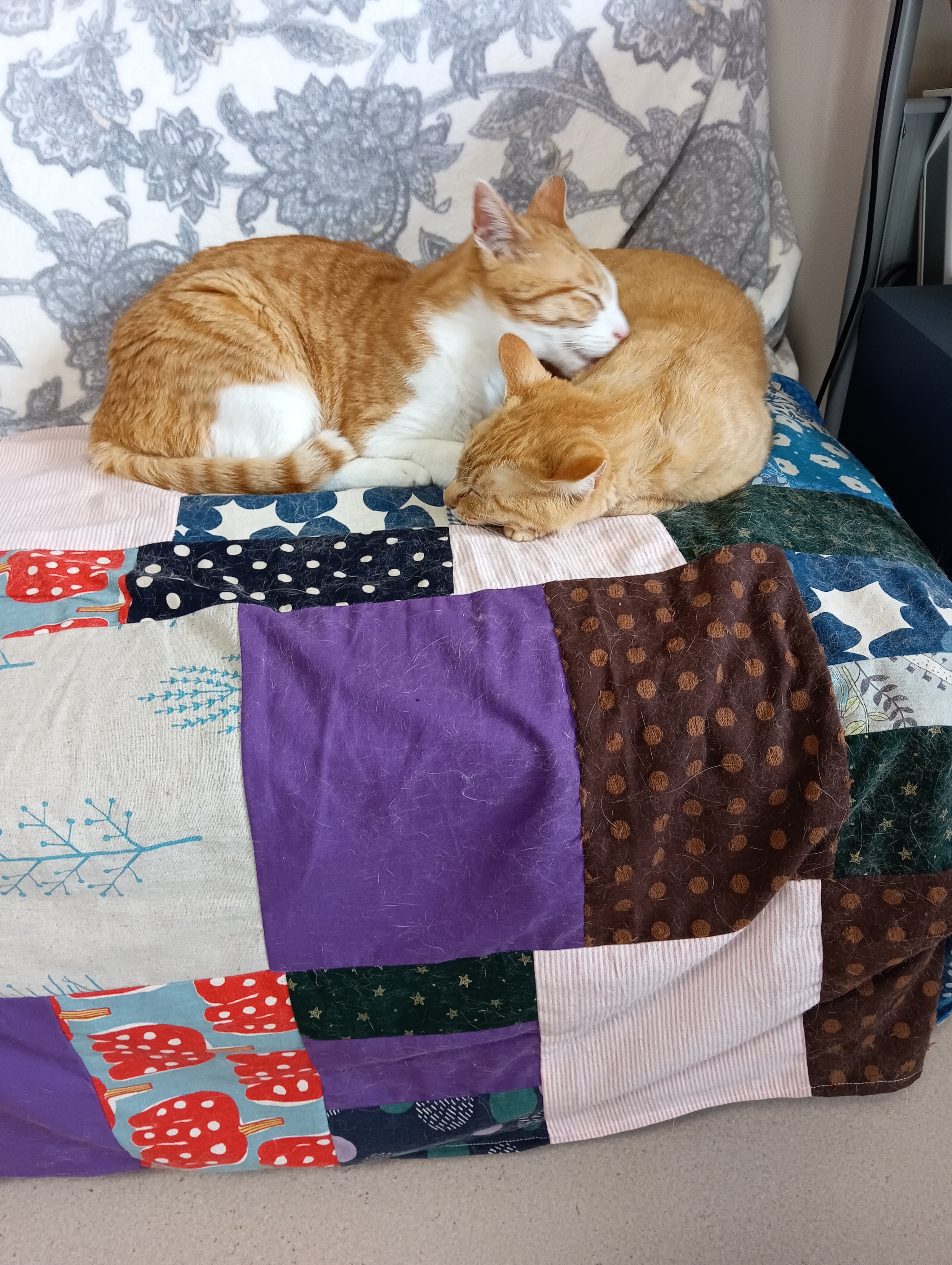 　　　　　　　　　　　　　　　　　　　　　　　　　　　　どういうこと？　　　ネズミに会議の日にちをきいたらわざと次の日を教えたわけよ