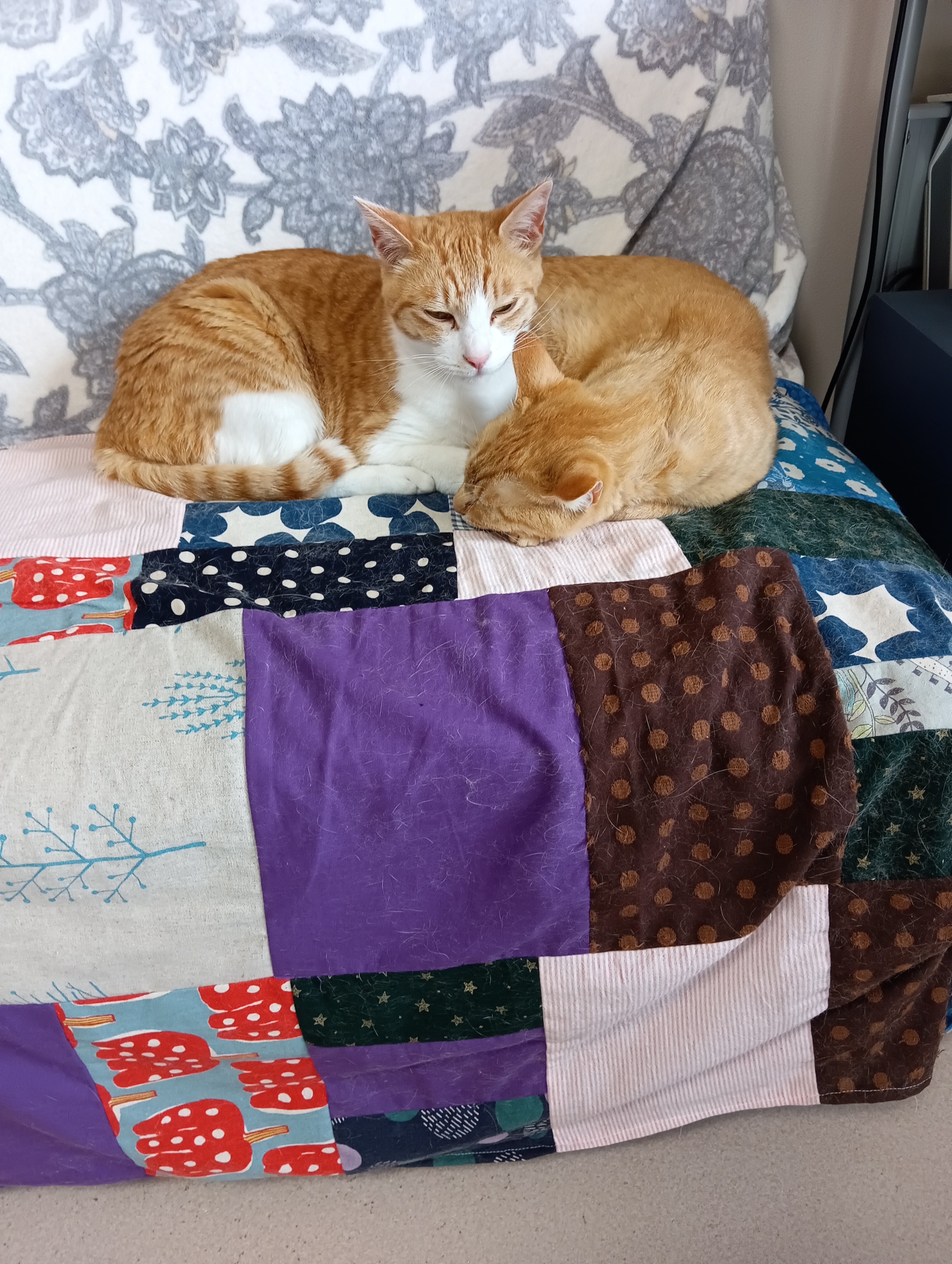 　　　　　　　　　　　　　　　　　そういうこと！おのれ！ネズ公のやつ、とっちめてやる！　　　　よってけ庵にネズミはいないわよ