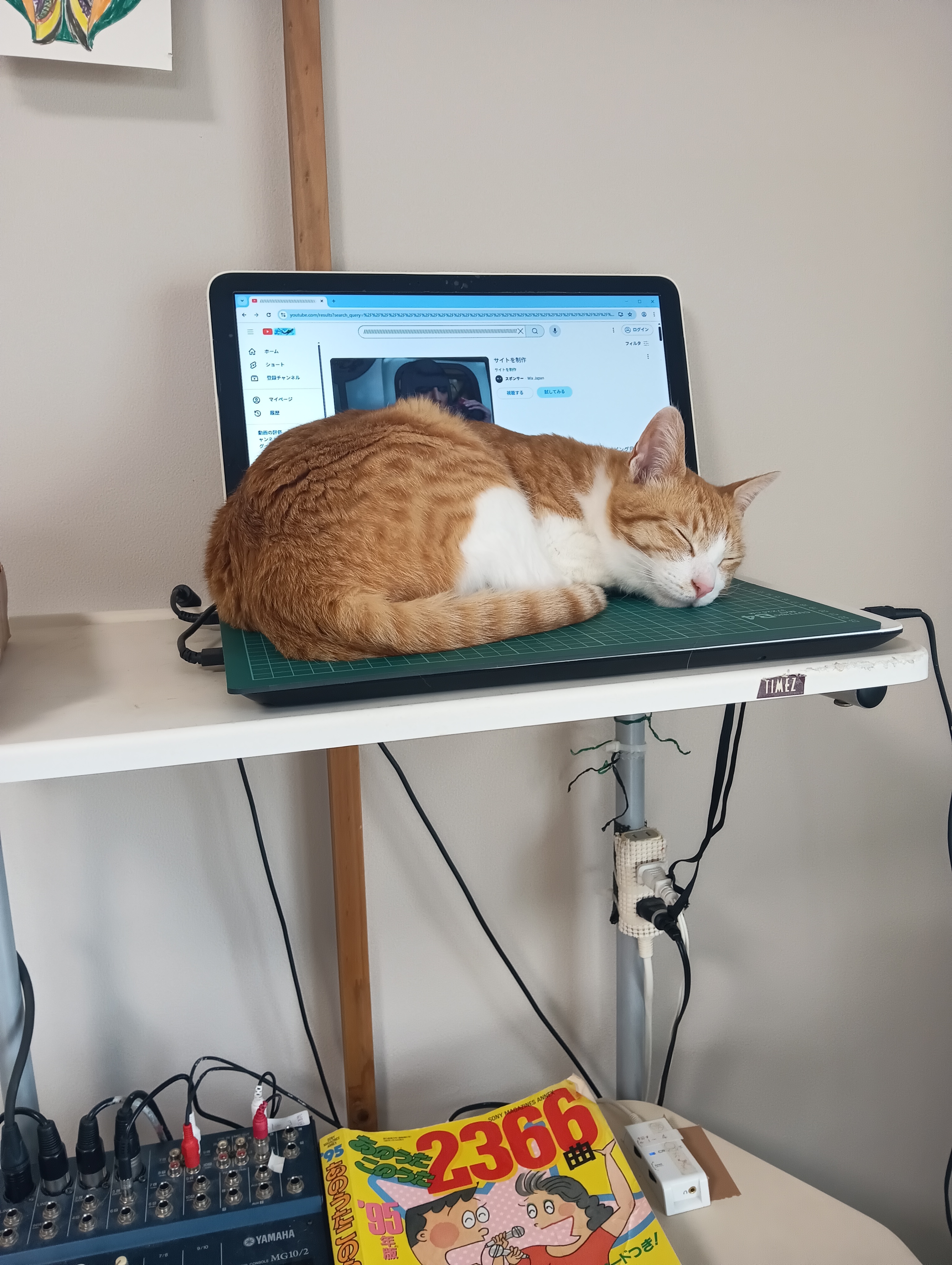 　　　　　　　　　　　　　　　　　　　それじゃ永久に猫の年賀状は届かないわけにゃ、とほほ、ふて寝しよ・・・・