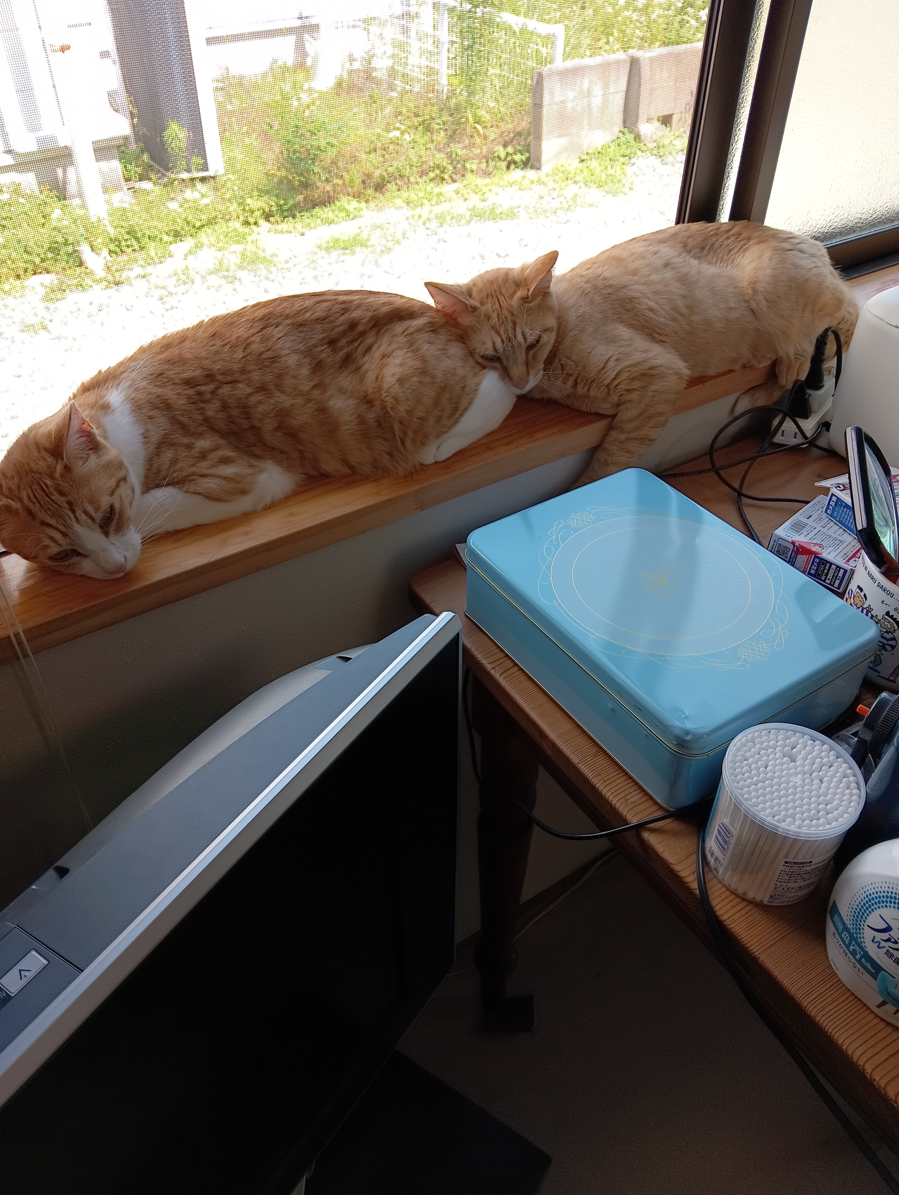 　　　　　　　　　　　　　　　　　　　　　　　　　暑いよ～、まだ6月だというのに外は猛暑日、ばてるよ～