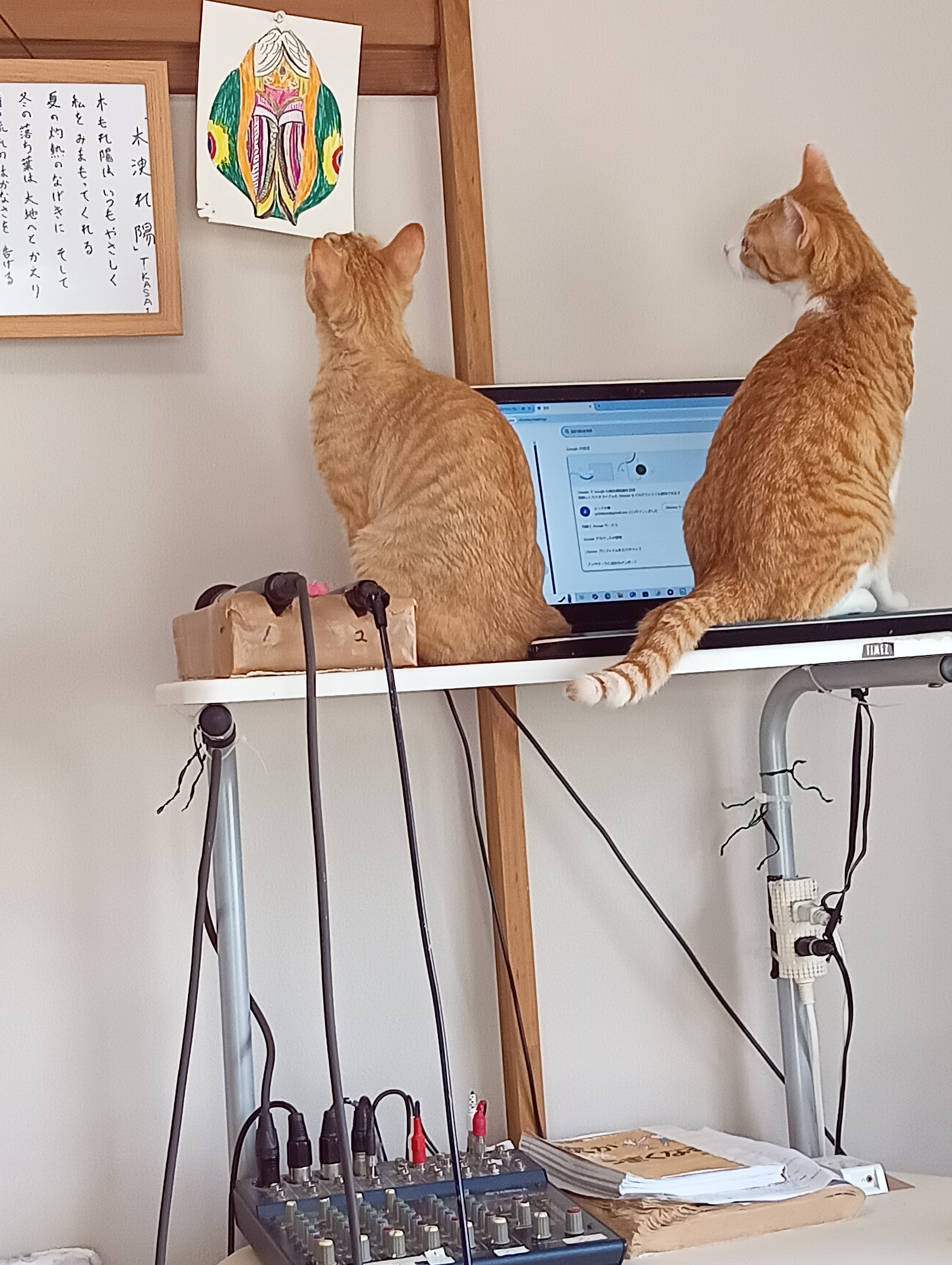 　　　　　　　　　　　　　　　　　　　　　　　　　　　　あたちに見せて　　　うん、見てみて