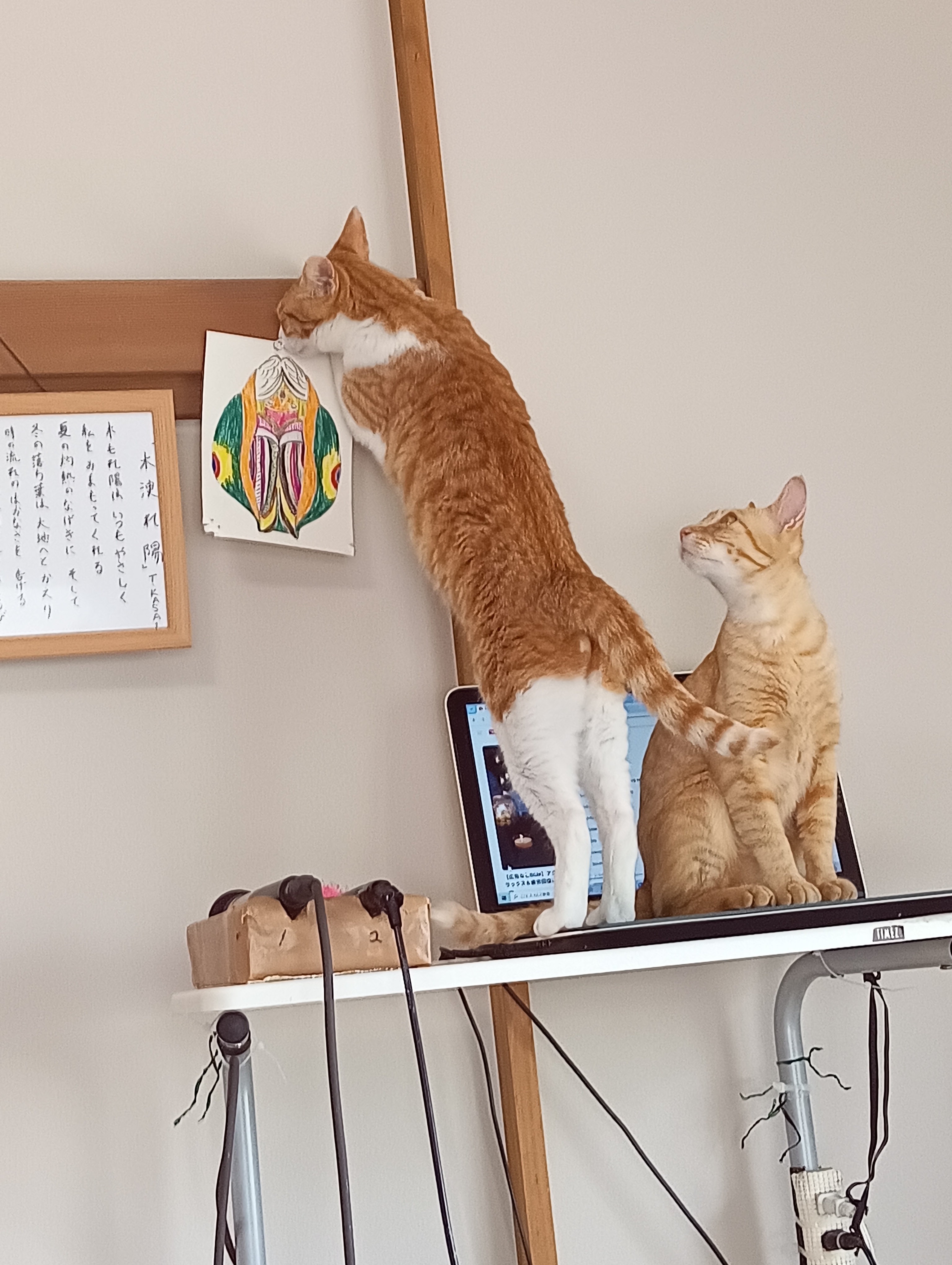 　　　　　　　　　　　　　　　　　　　　　　　　　　　　　　　　　　しーちゃん、調子にのらないで！