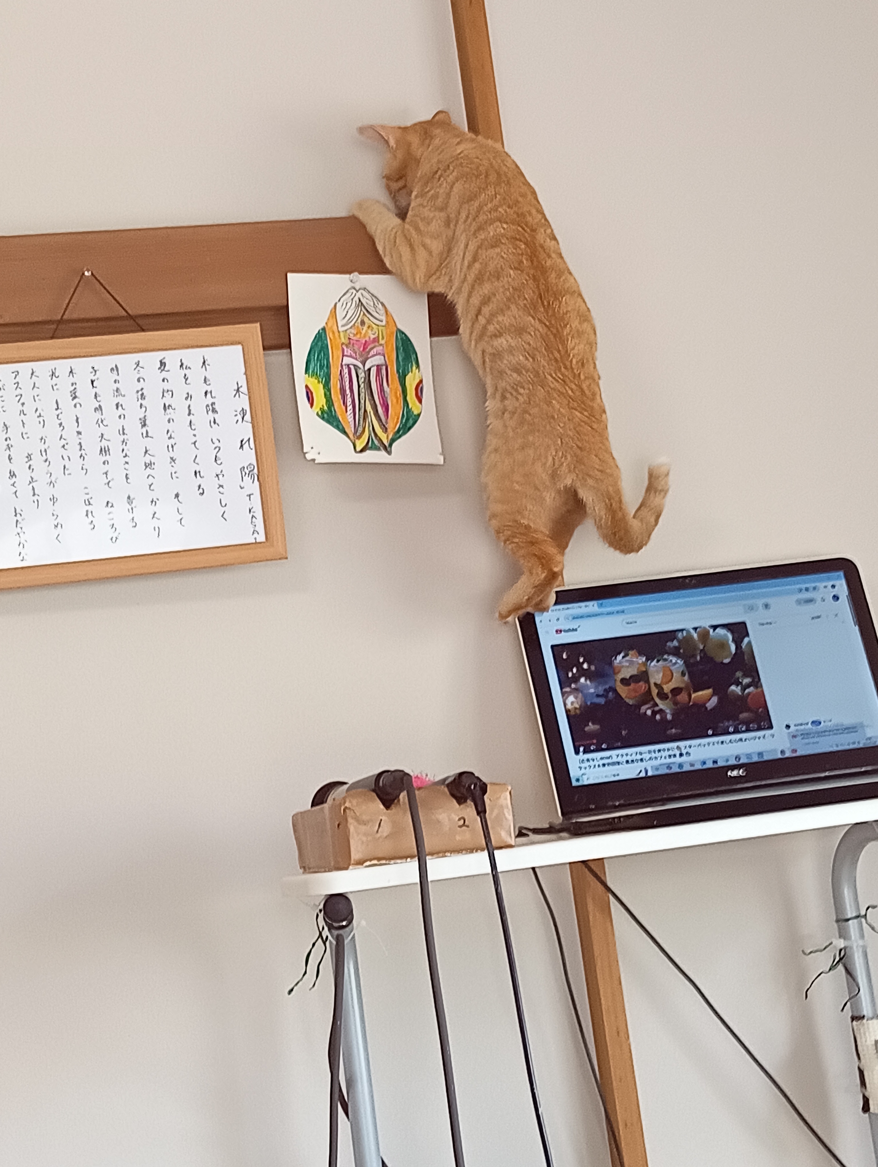                                                         （チーちゃんまたあ！パソコンは踏み台じゃないよ！）