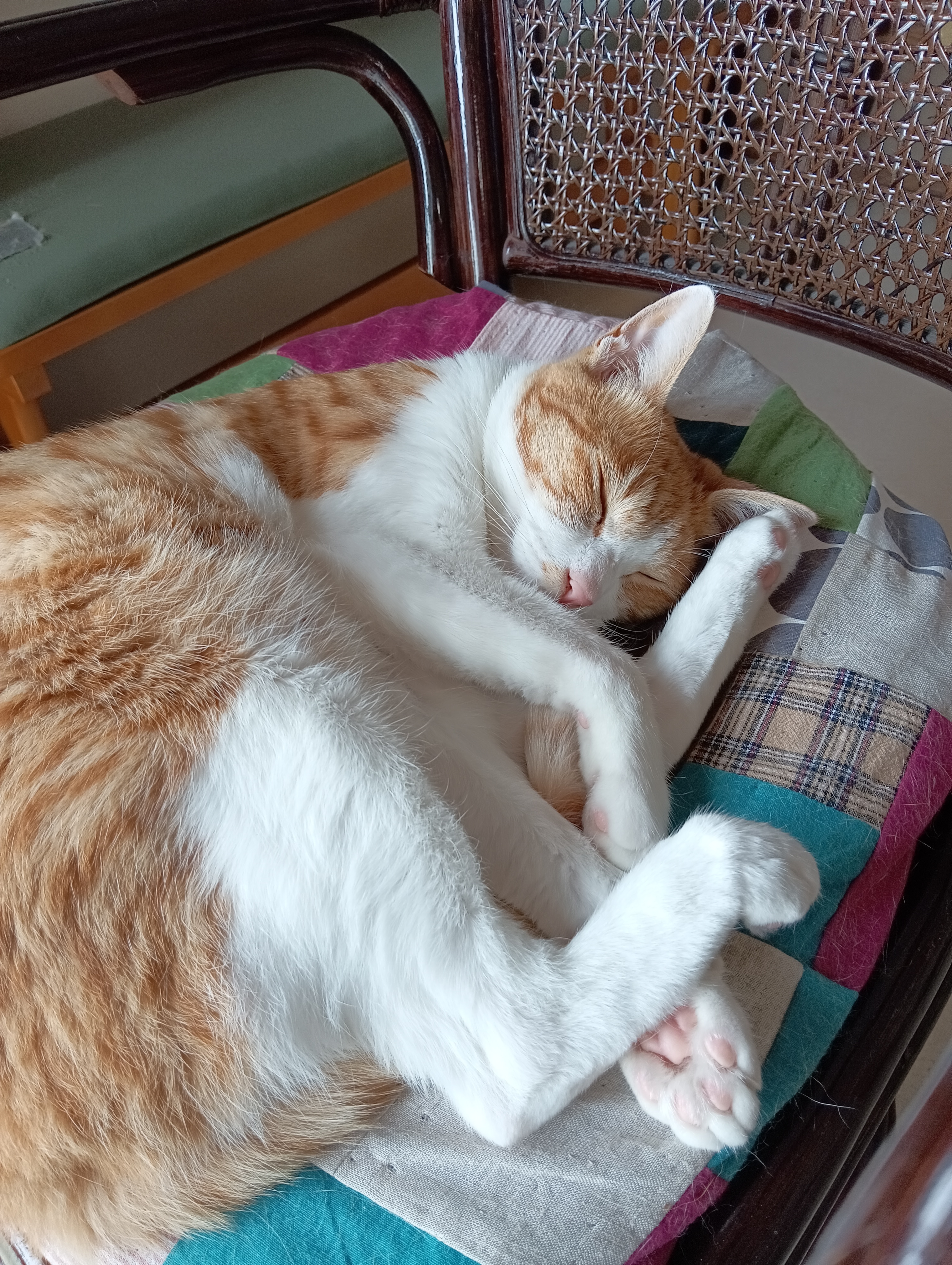 　　　　　　　　　　　　　　　　　　　　　　　　　　　　　　　　　　　　　　旅に病んで夢は枯野をかけ廻る