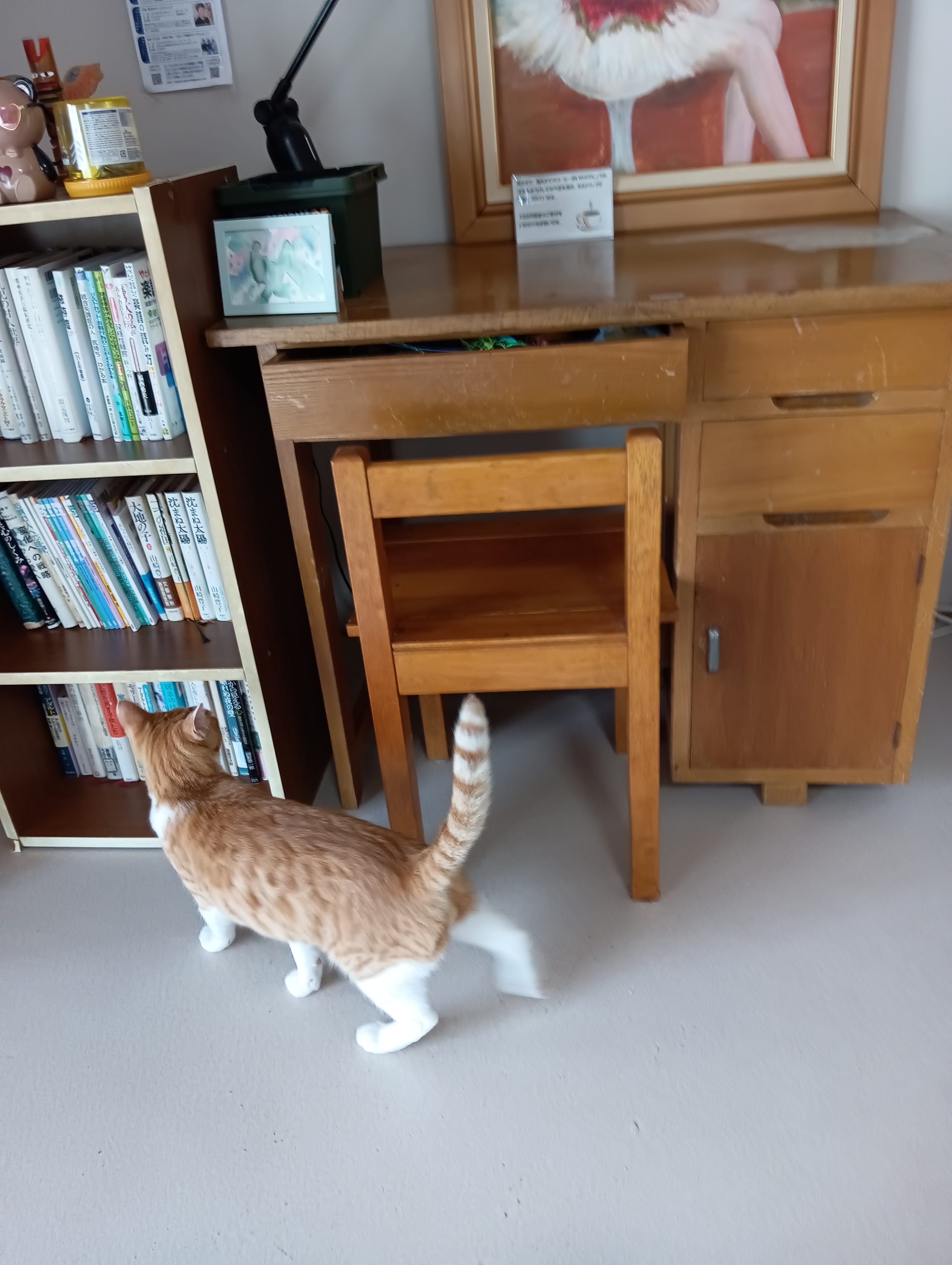 　　　　　　　　　　　　　　　　　　　　　　　　　　　　　　　　　本を読んで猫だって勉強するんだ