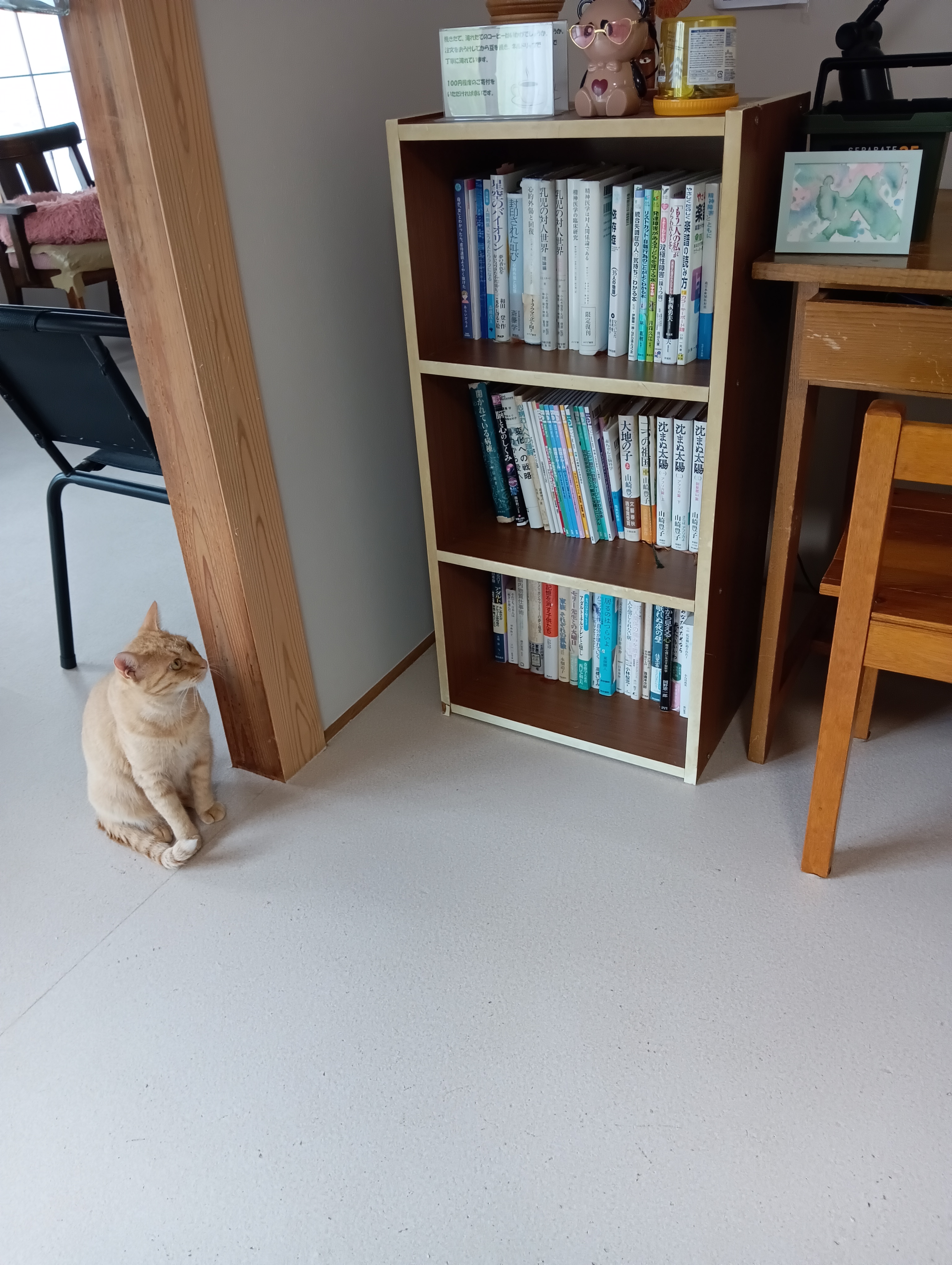 　　　　　　　　　　　　　　　　　　　　　　　　　　　　　　　　　　　　　あたちも勉強するわ