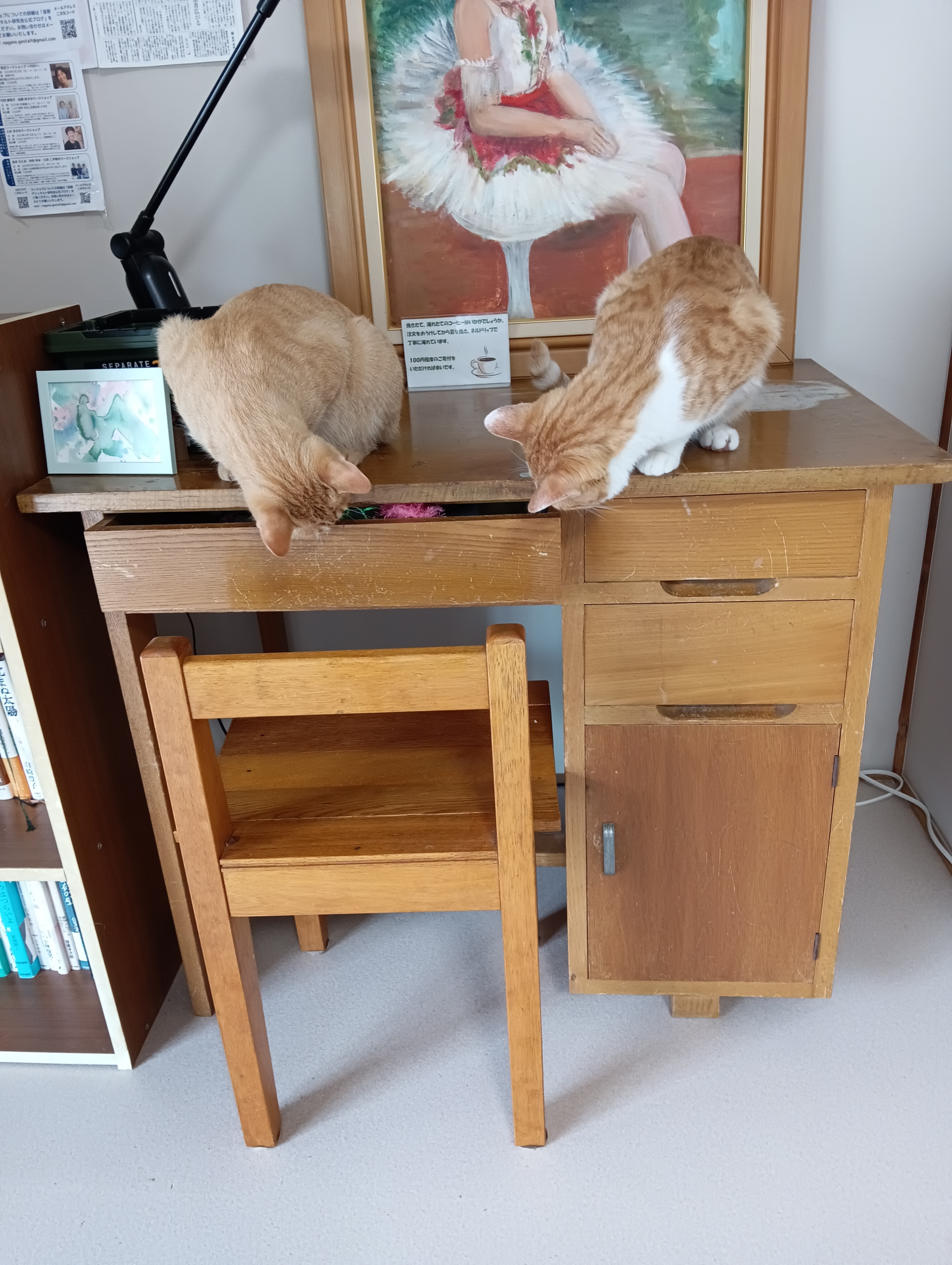 　　　　　　　　　　　　　　　　　　　　　　　　　　　　　あたちにまかせて、やっぱり開かないわ